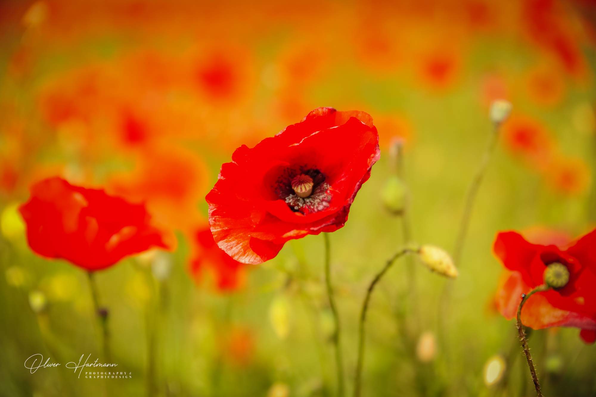 Bild ohne Beschreibung Bild ohne Beschreibung