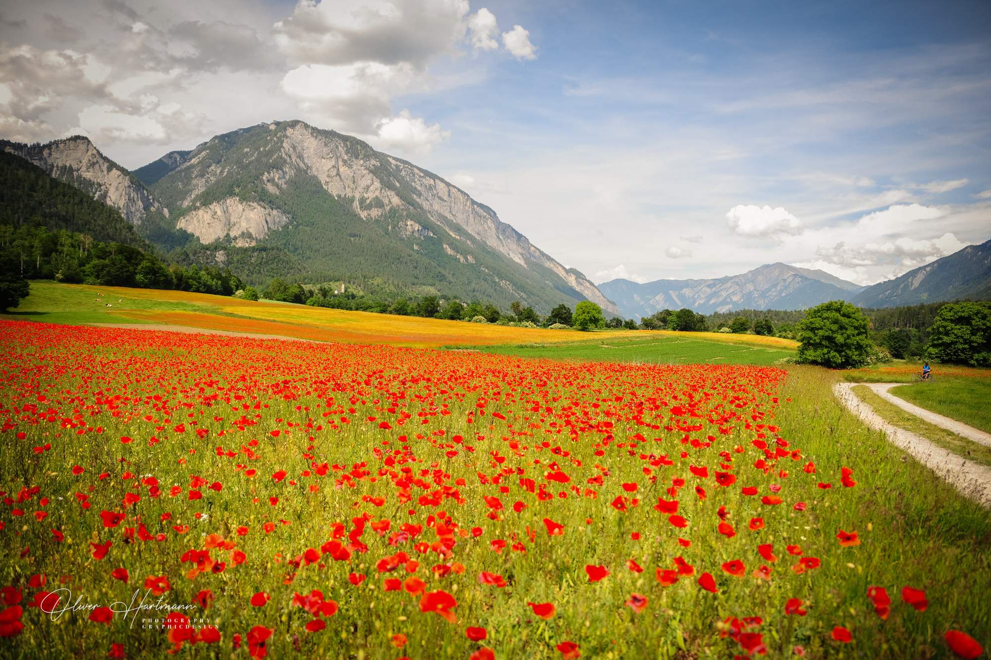 Bild ohne Beschreibung Bild ohne Beschreibung