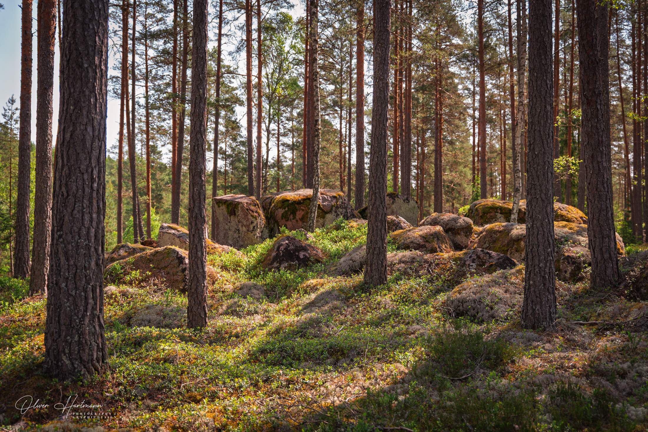 Bild ohne Beschreibung Bild ohne Beschreibung