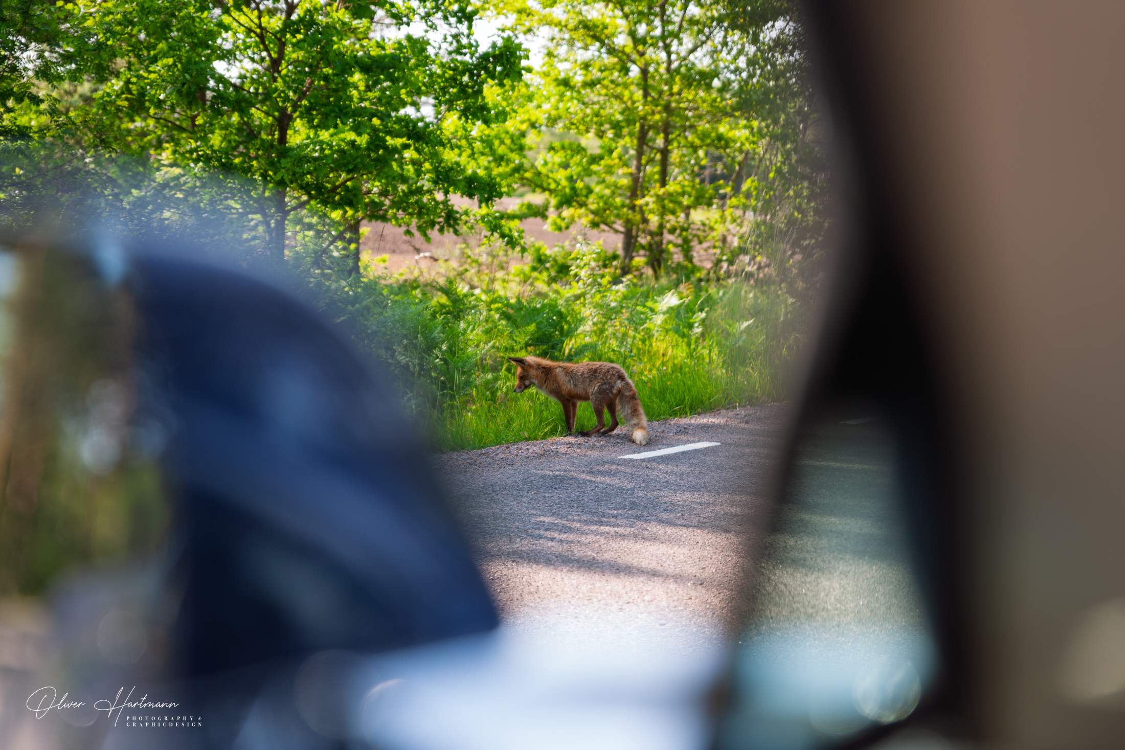 Bild ohne Beschreibung Bild ohne Beschreibung