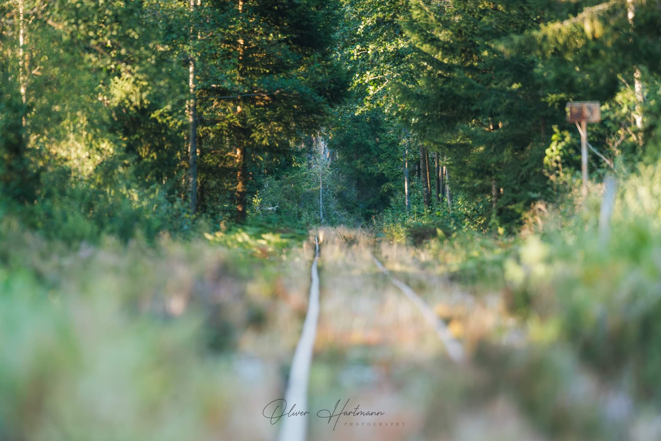 Bild ohne Beschreibung Bild ohne Beschreibung