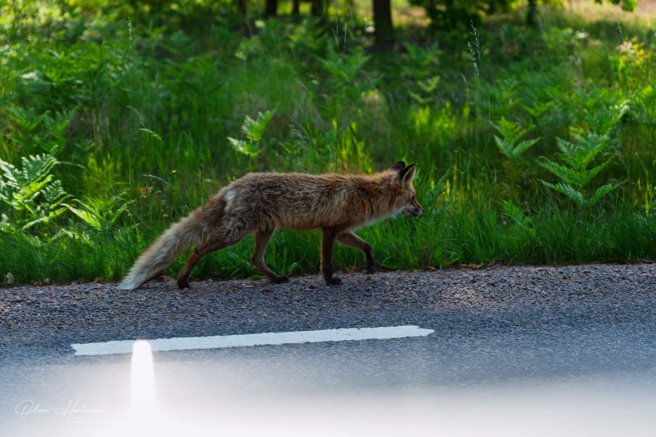 Bild ohne Beschreibung Bild ohne Beschreibung