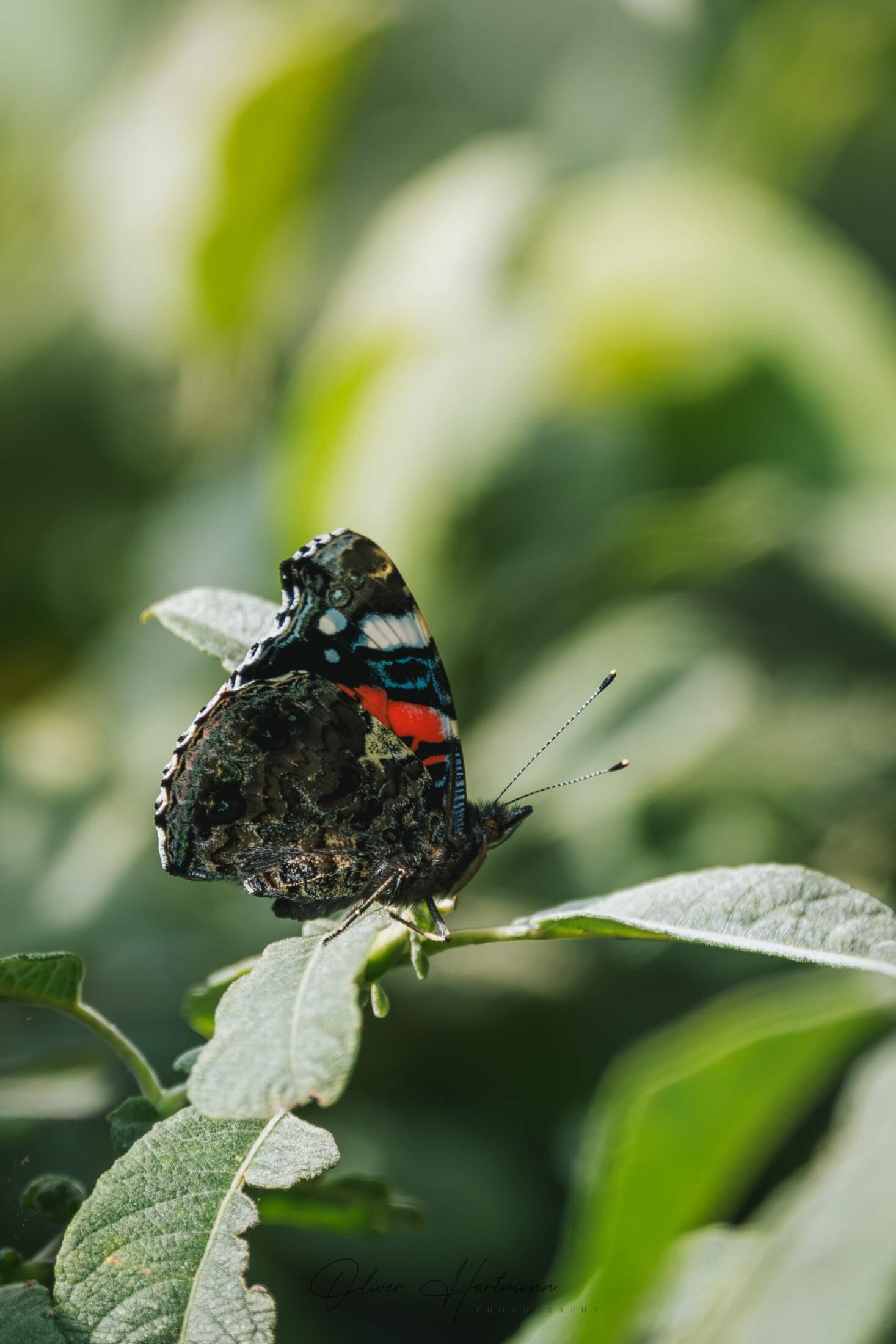 Bild ohne Beschreibung Bild ohne Beschreibung