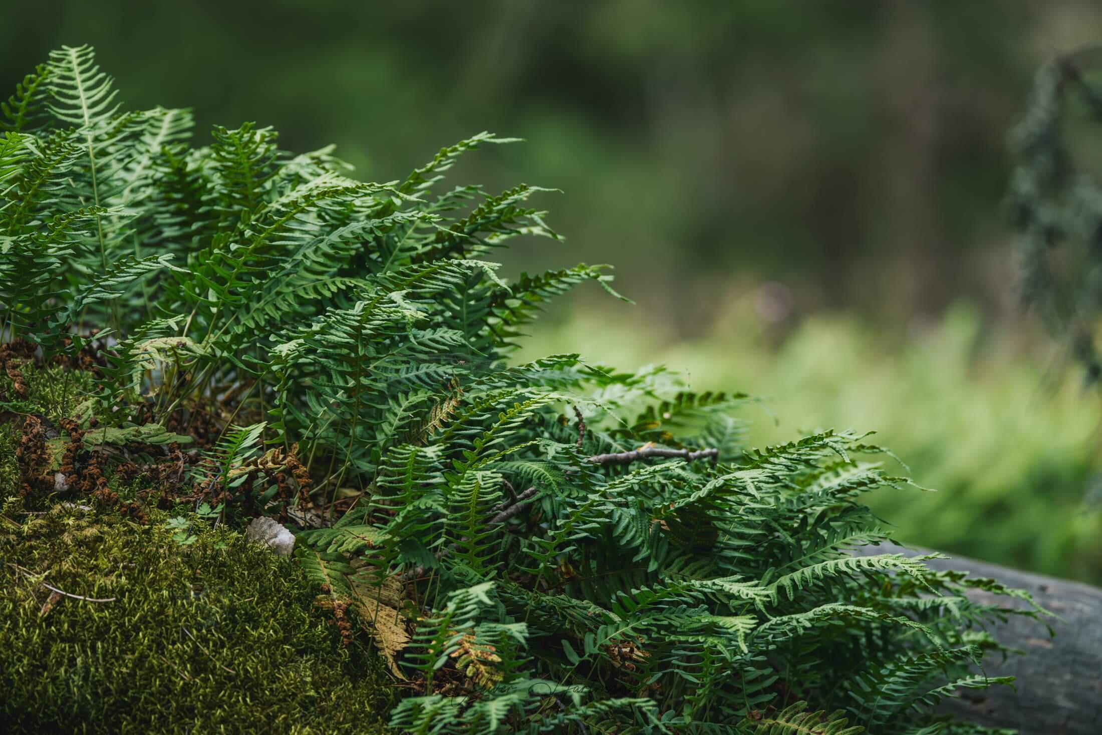 Bild ohne Beschreibung Bild ohne Beschreibung
