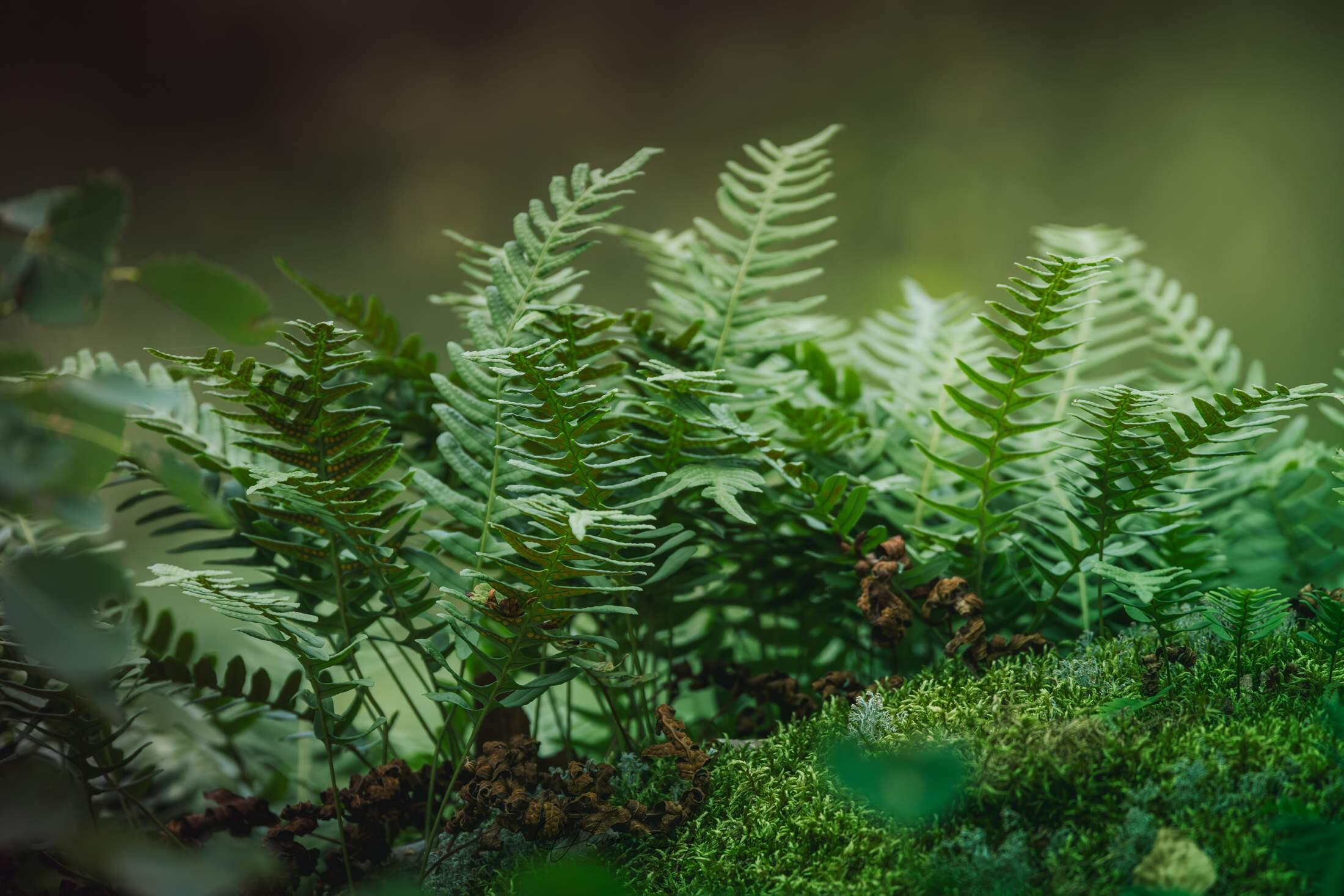 Bild ohne Beschreibung Bild ohne Beschreibung