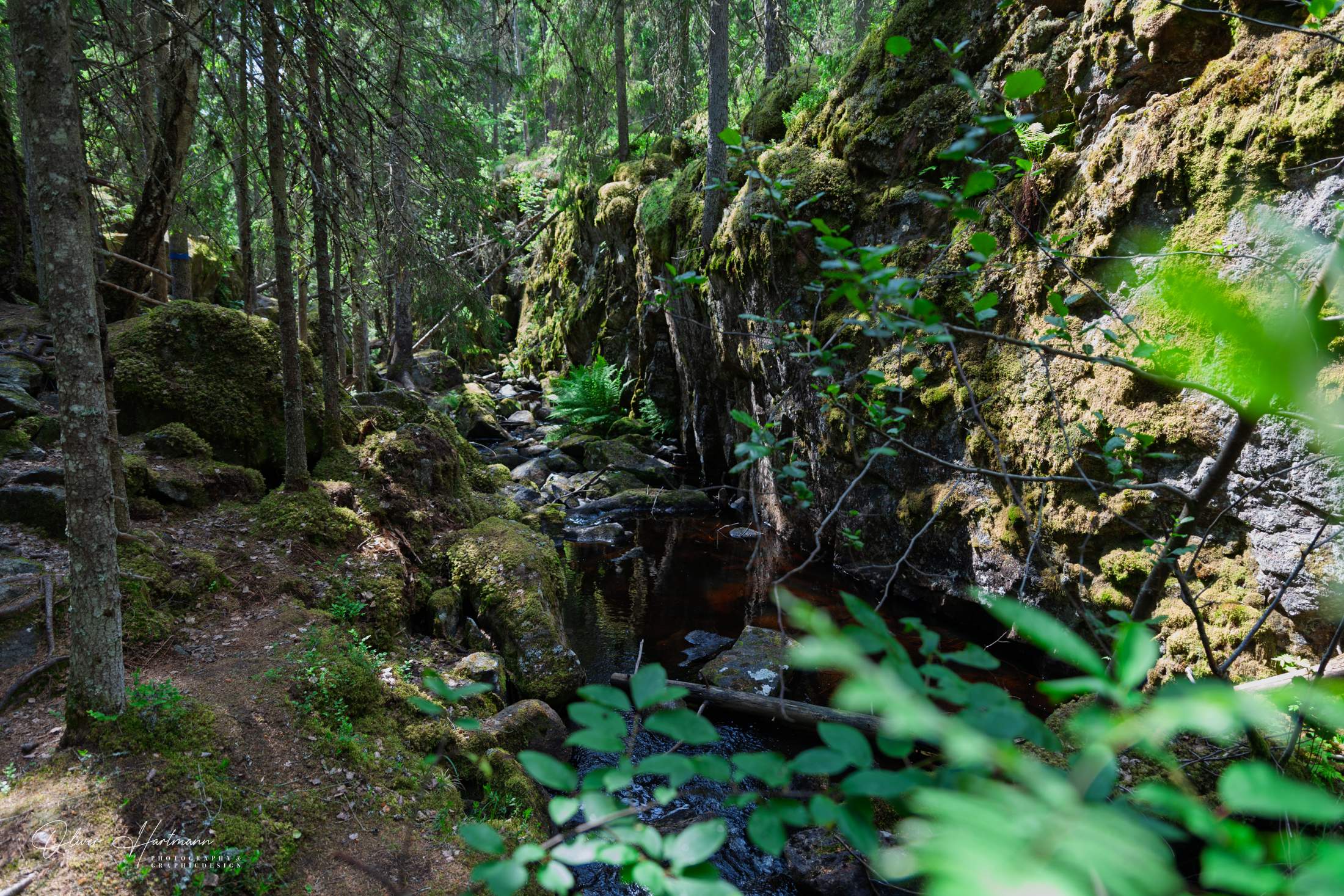 Bild ohne Beschreibung Bild ohne Beschreibung