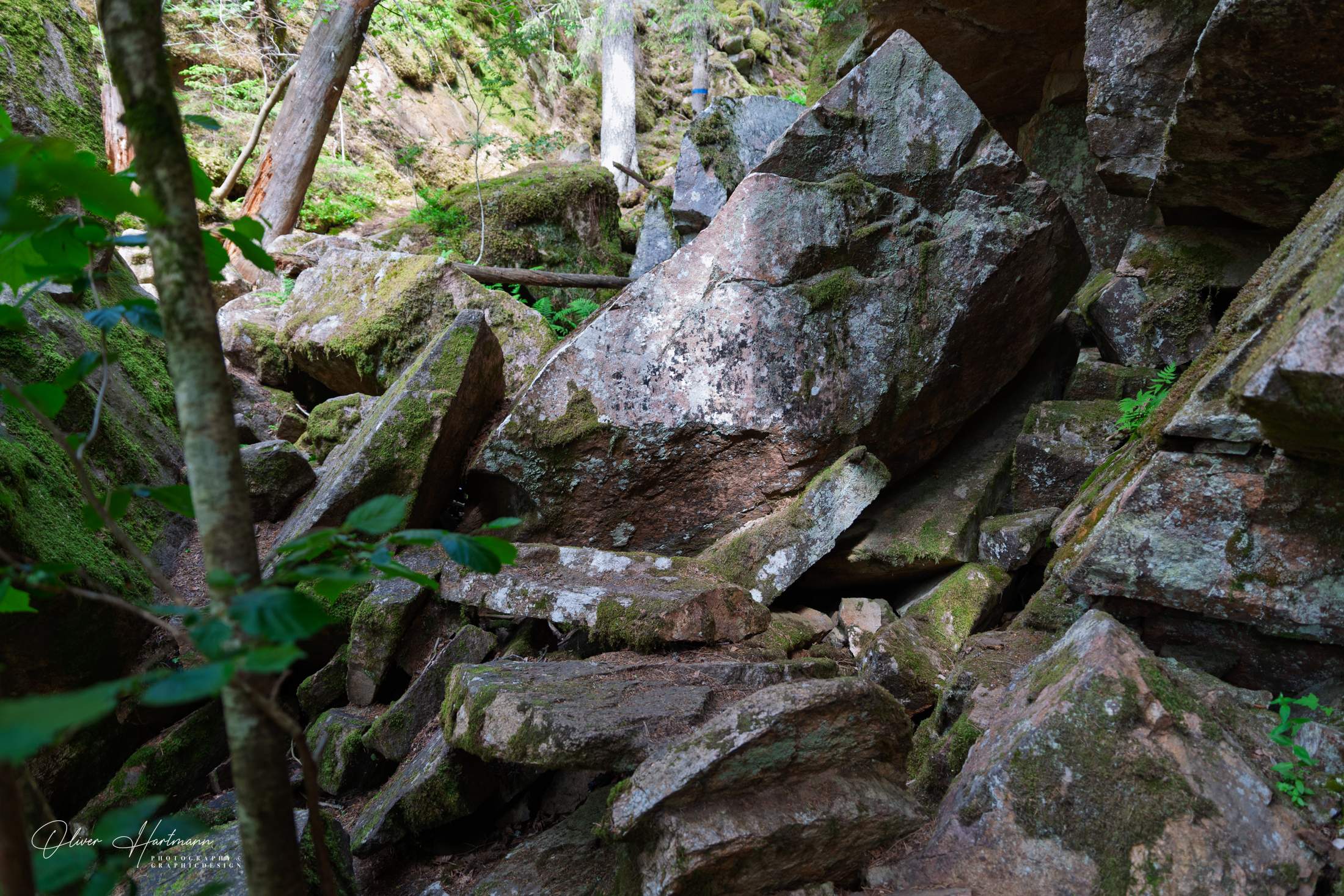 Bild ohne Beschreibung Bild ohne Beschreibung