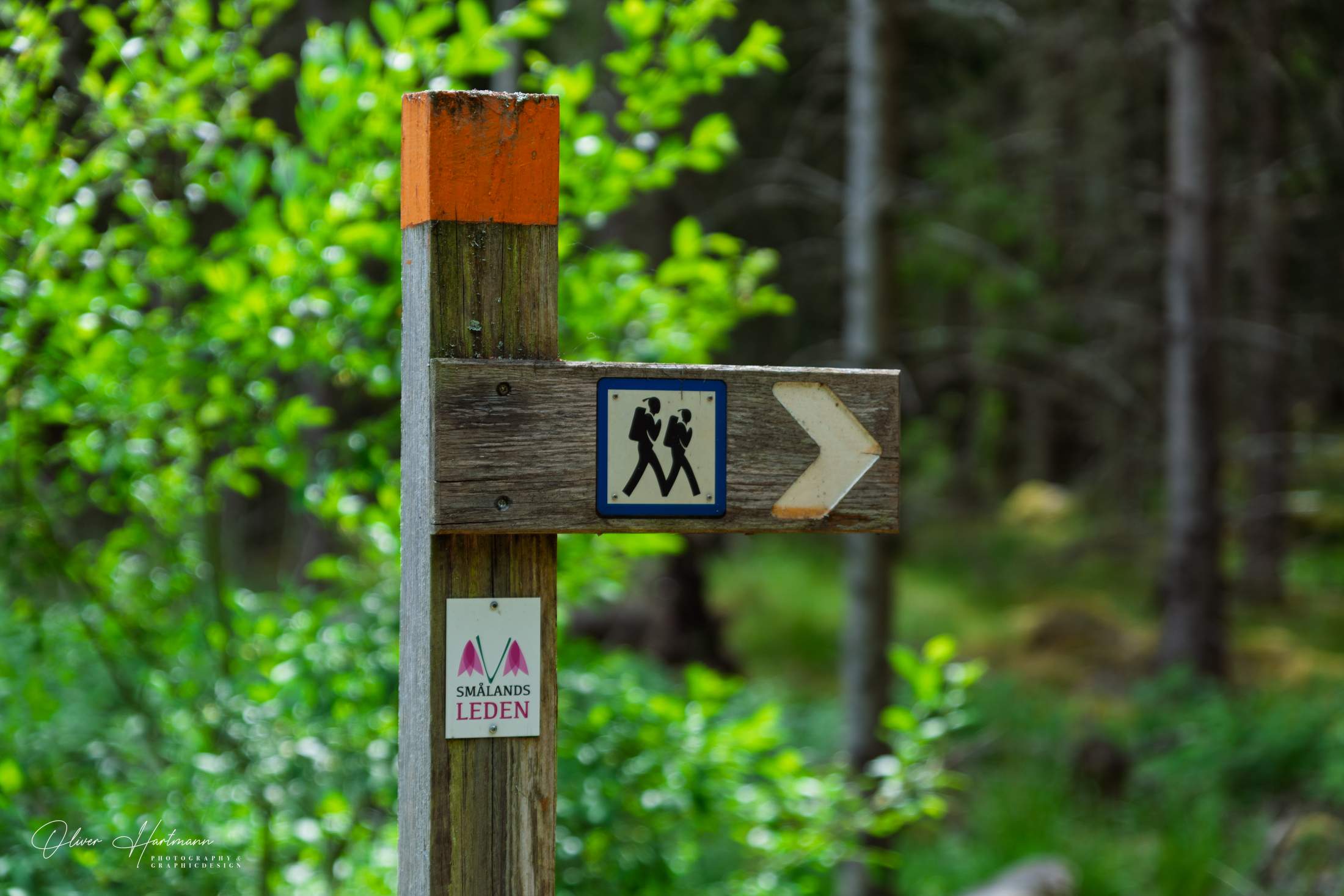 Bild ohne Beschreibung Bild ohne Beschreibung