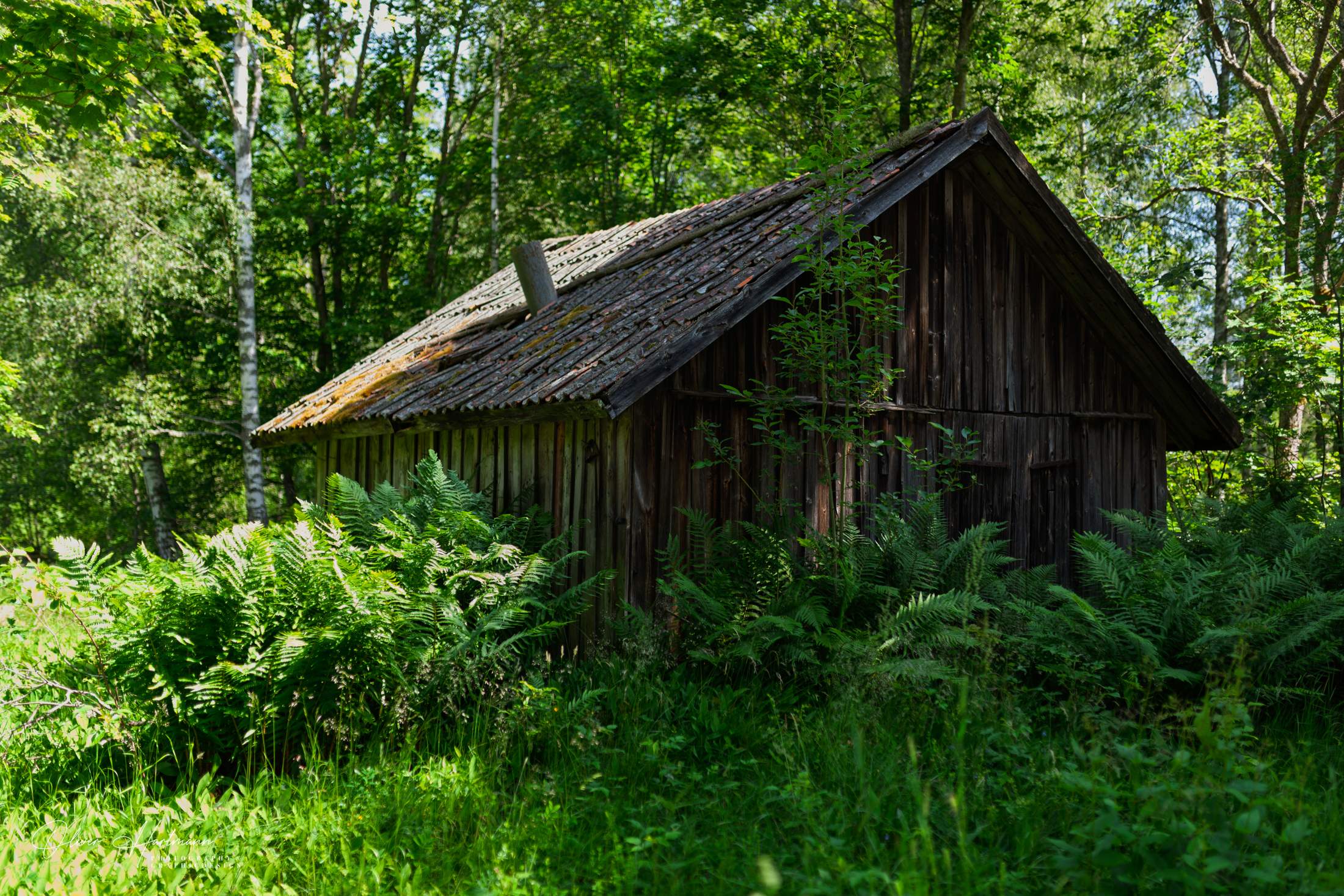 Bild ohne Beschreibung Bild ohne Beschreibung