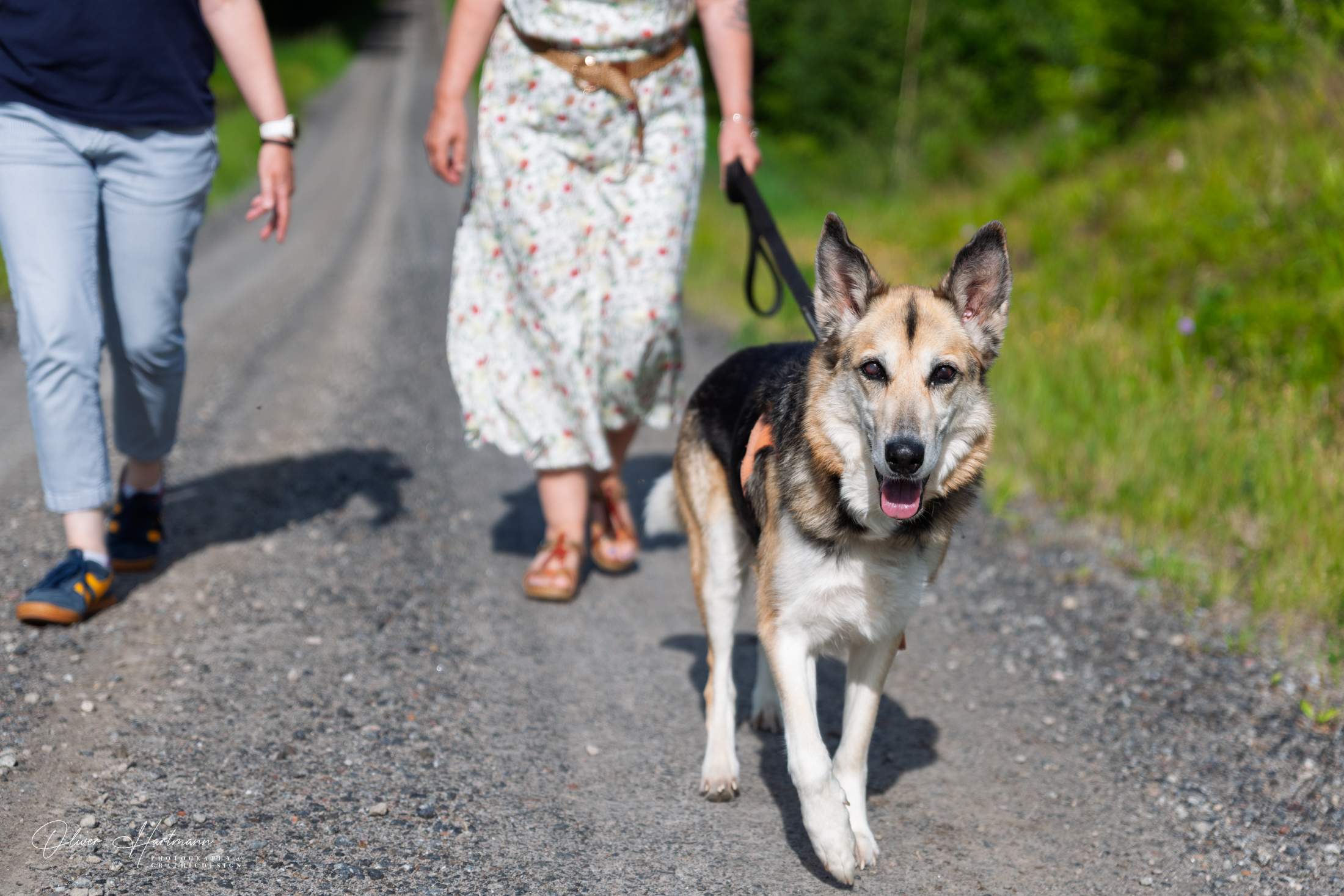 Bild ohne Beschreibung Bild ohne Beschreibung