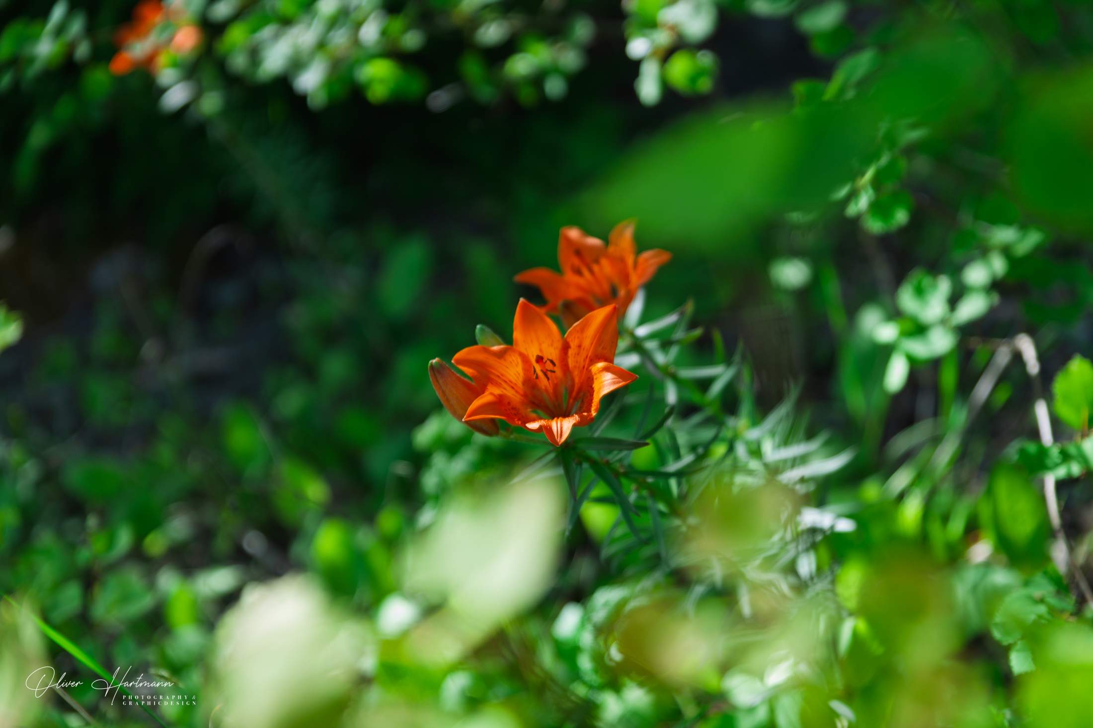 Bild ohne Beschreibung Bild ohne Beschreibung