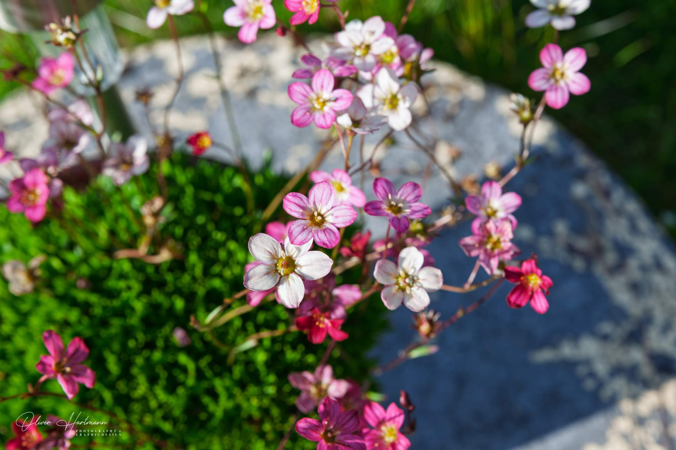 Bild ohne Beschreibung Bild ohne Beschreibung