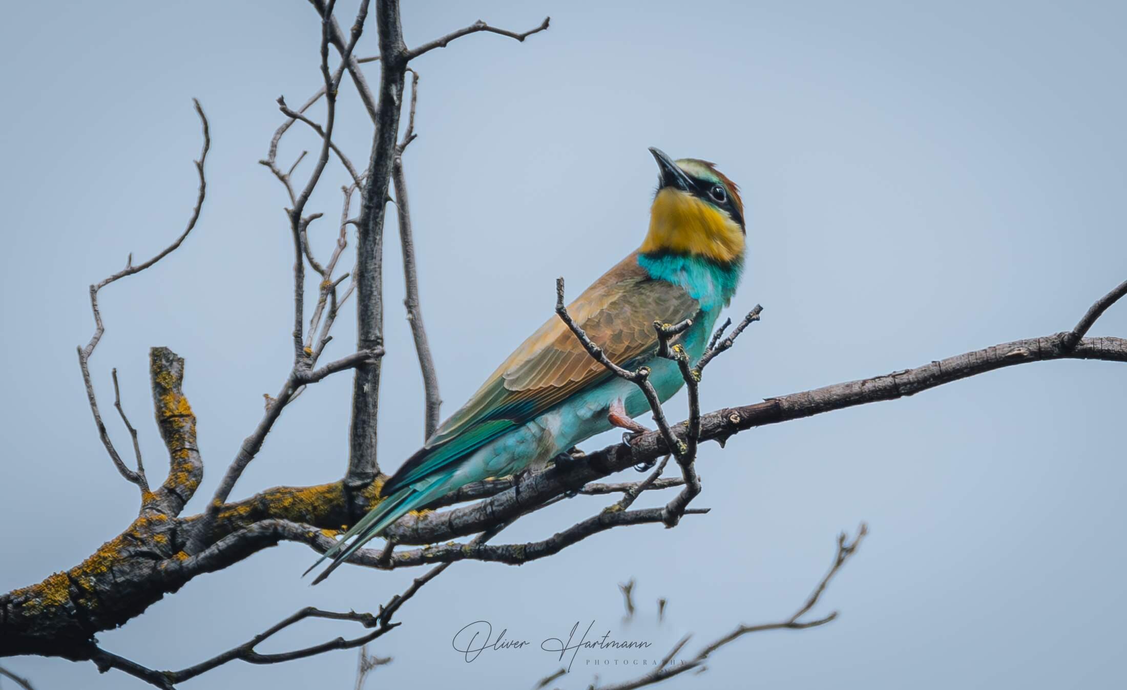 Bild ohne Beschreibung