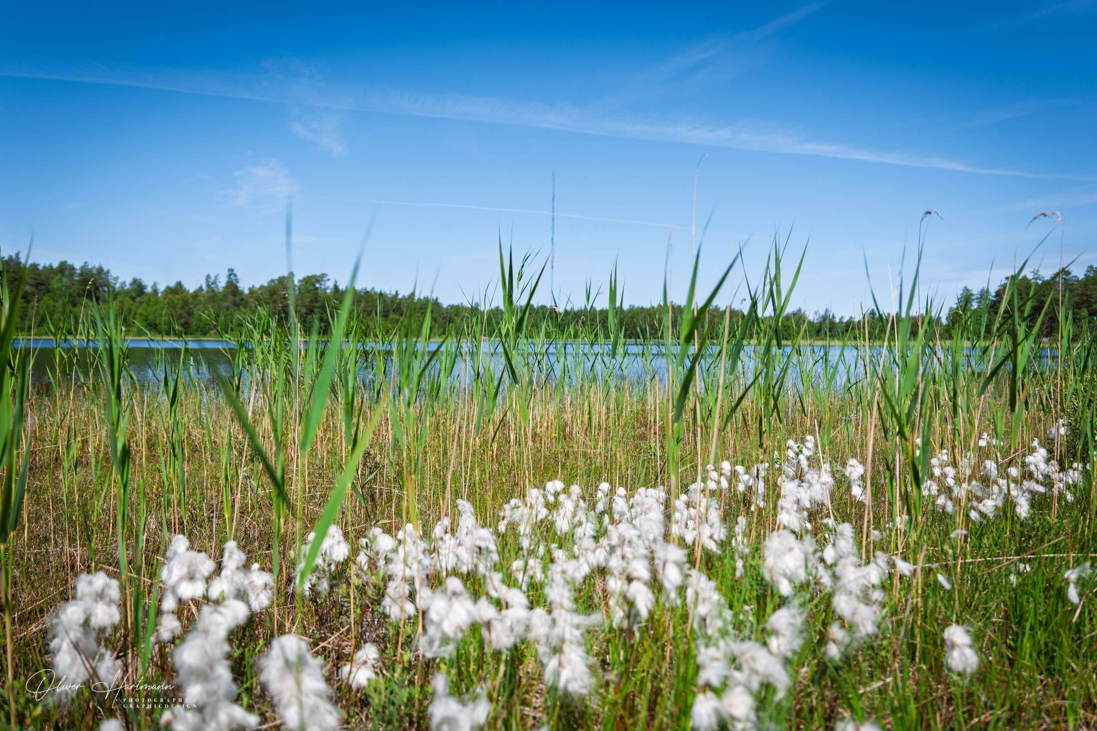 Bild ohne Beschreibung Bild ohne Beschreibung