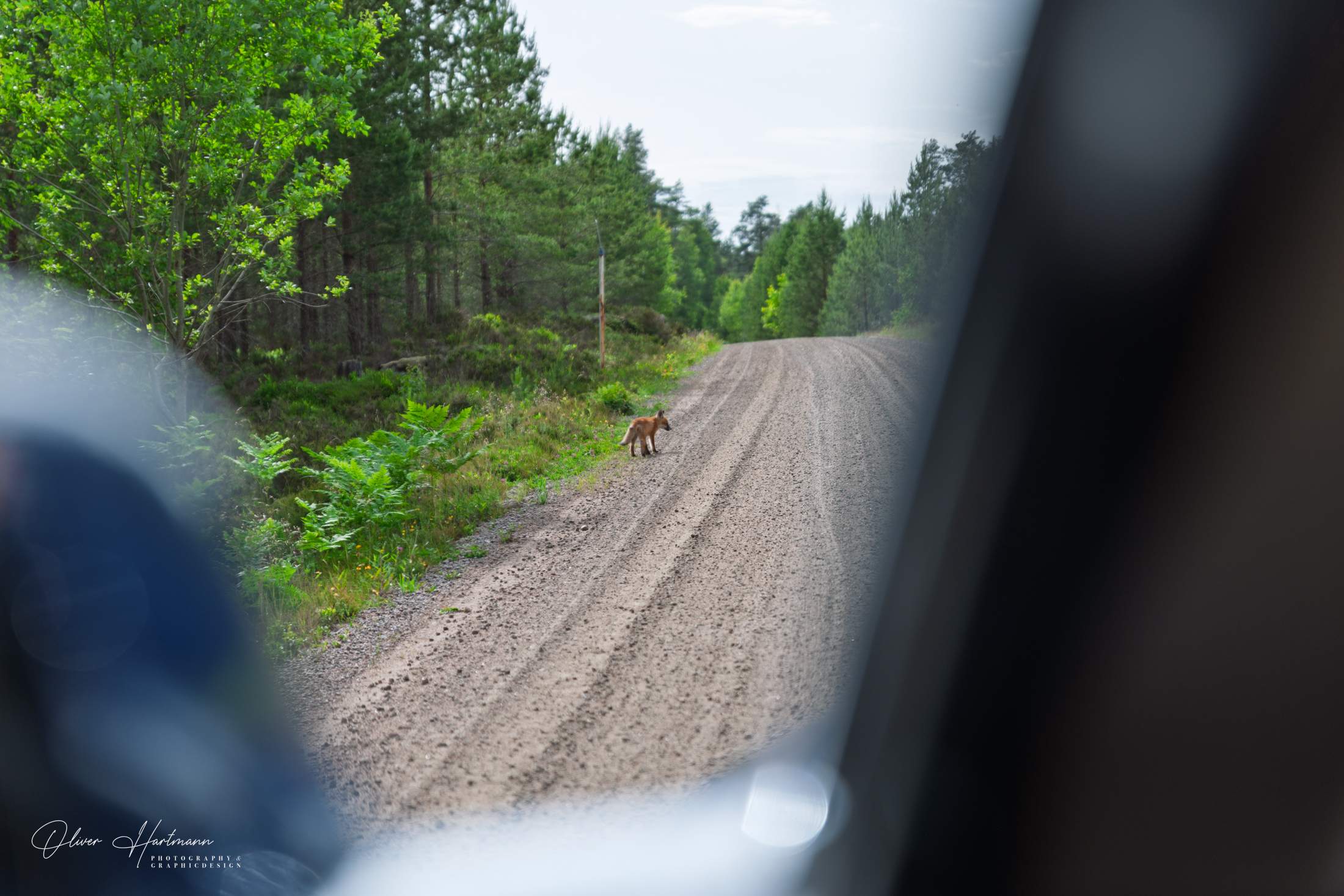 Bild ohne Beschreibung Bild ohne Beschreibung
