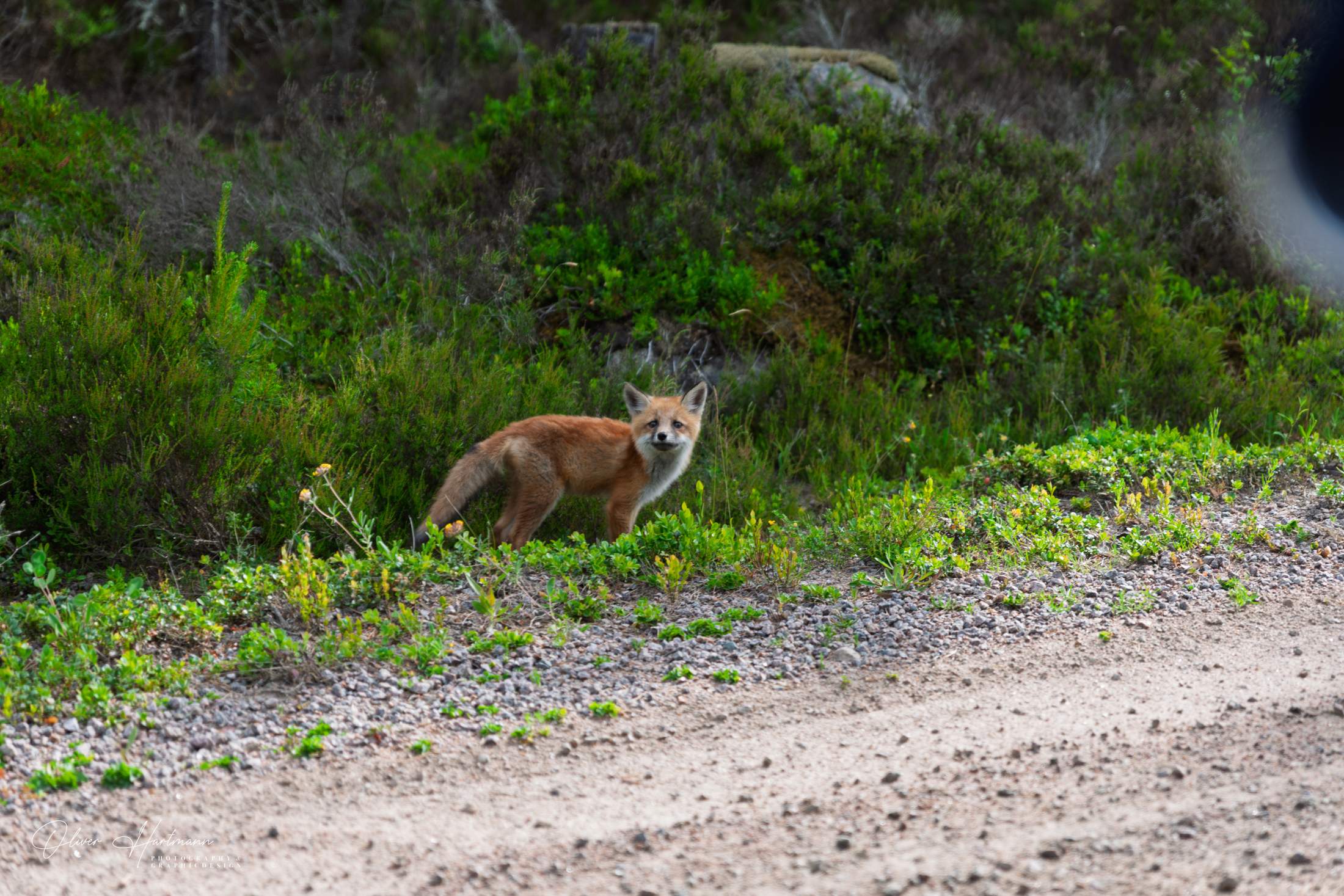 Bild ohne Beschreibung Bild ohne Beschreibung