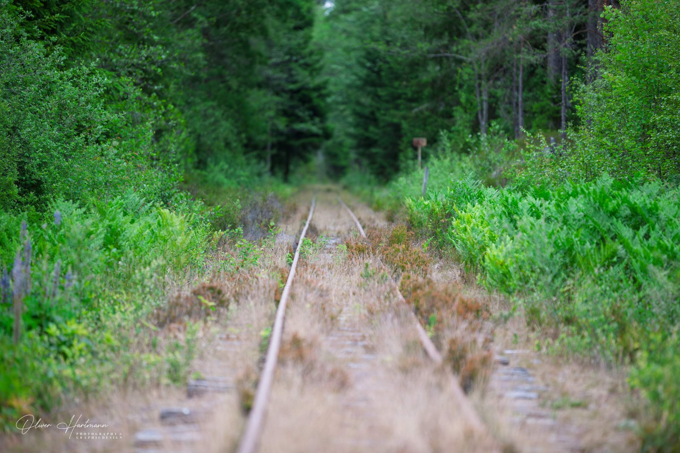 Bild ohne Beschreibung Bild ohne Beschreibung