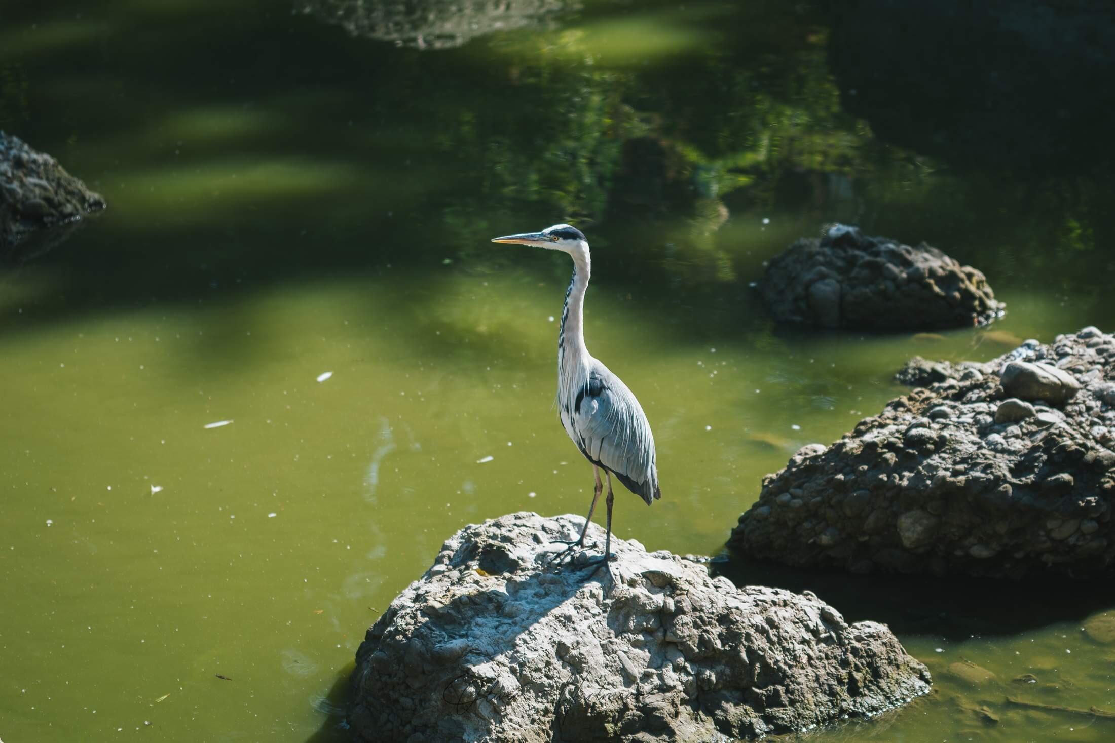 Bild ohne Beschreibung Bild ohne Beschreibung