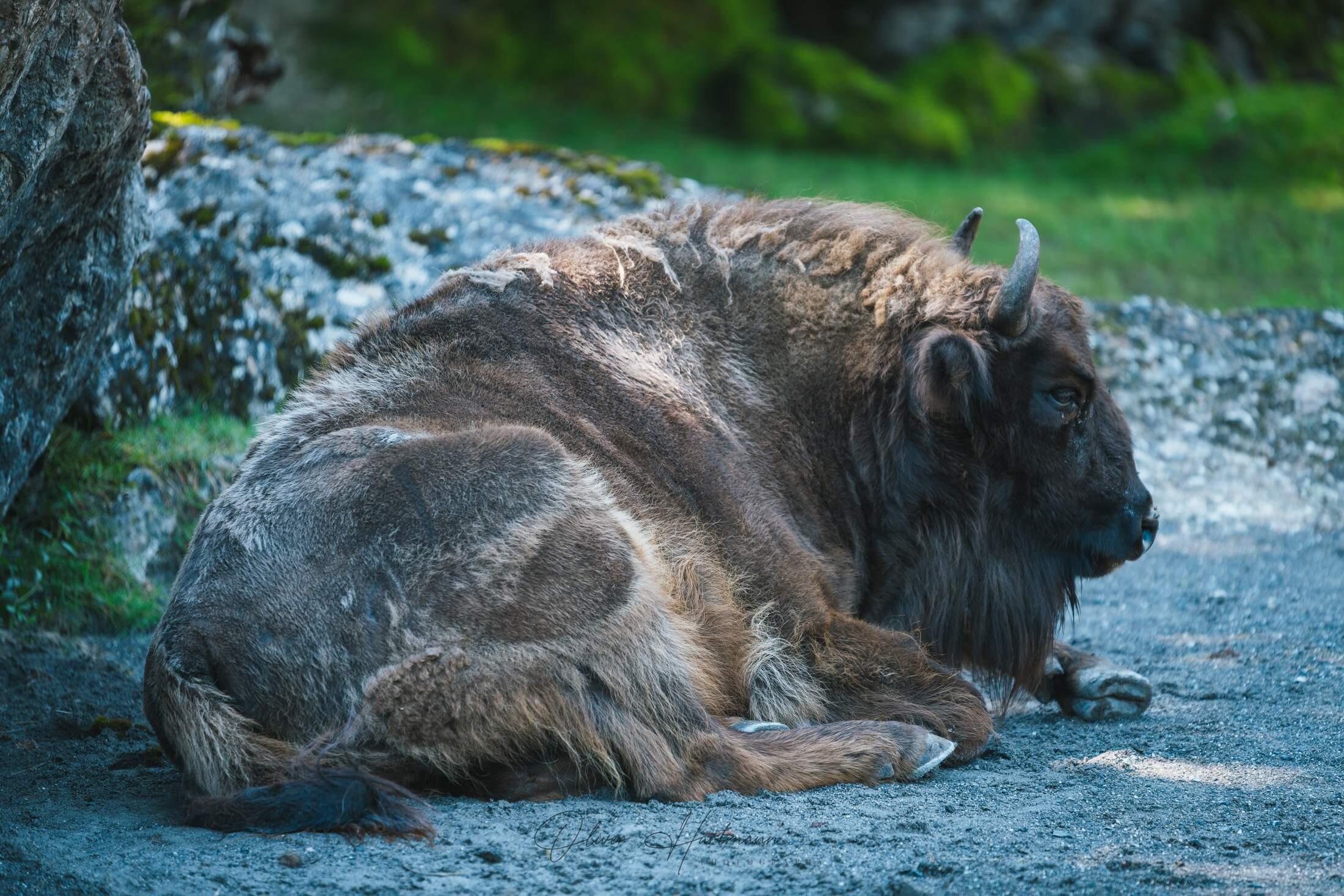Bild ohne Beschreibung Bild ohne Beschreibung