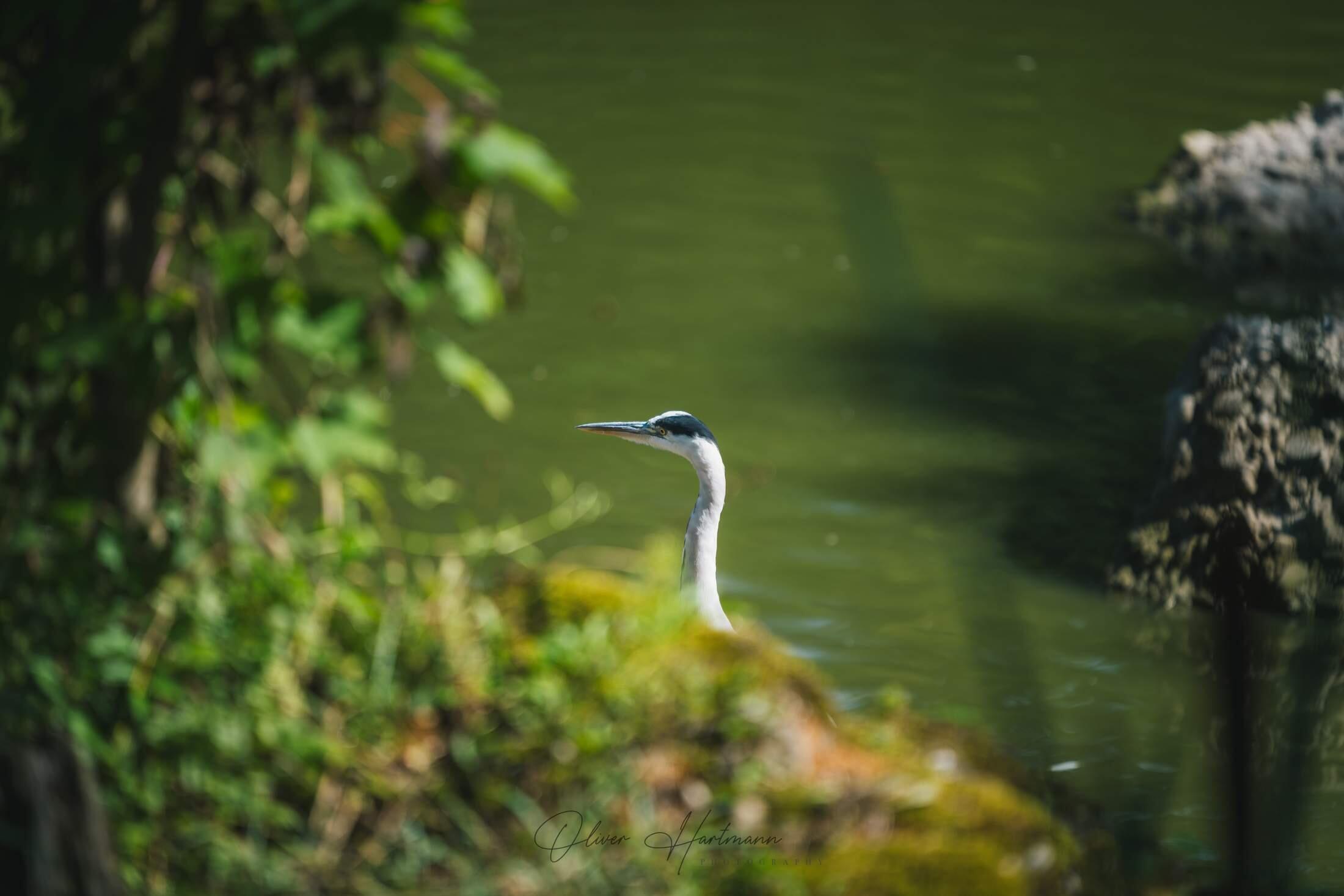 Bild ohne Beschreibung Bild ohne Beschreibung