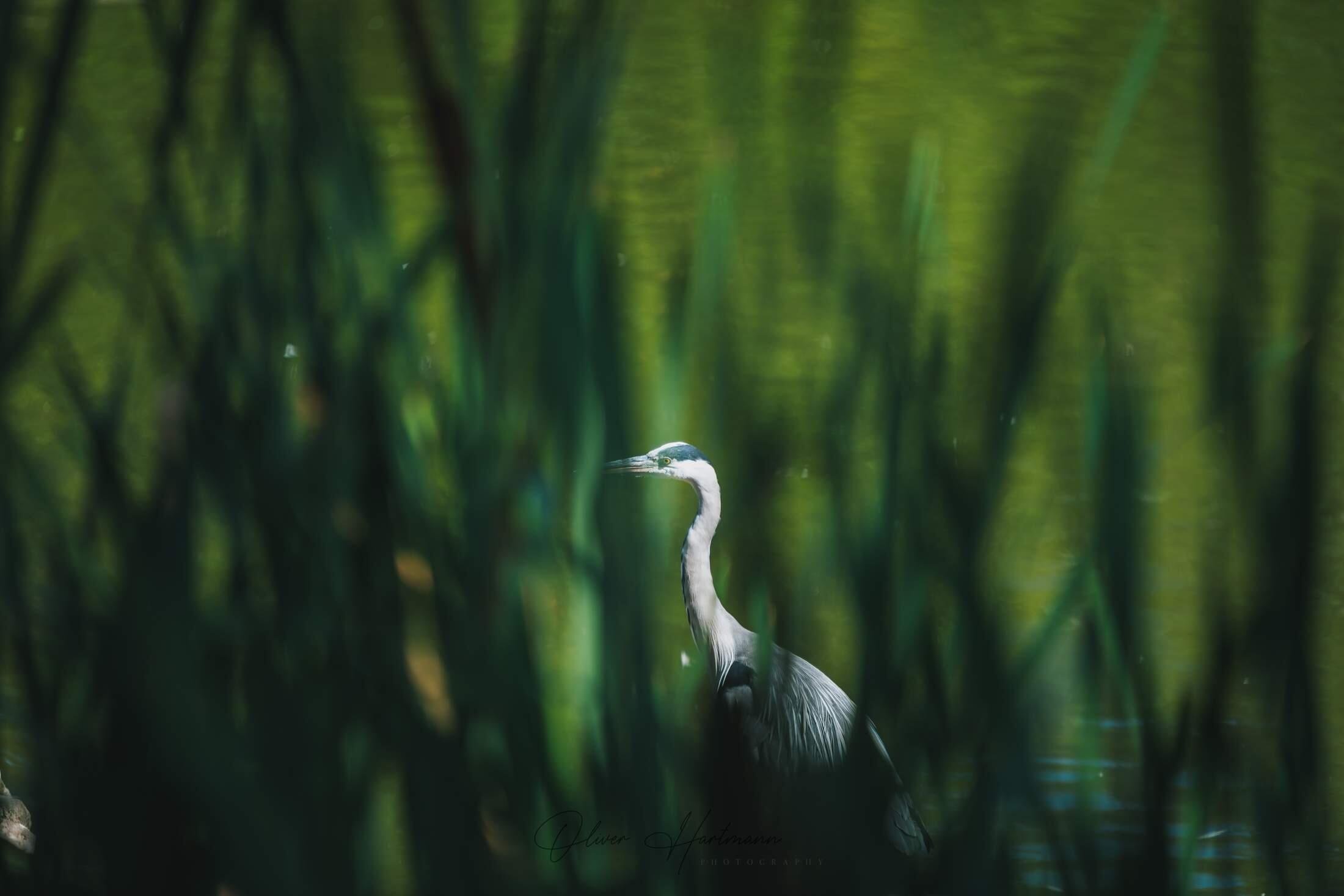 Bild ohne Beschreibung Bild ohne Beschreibung