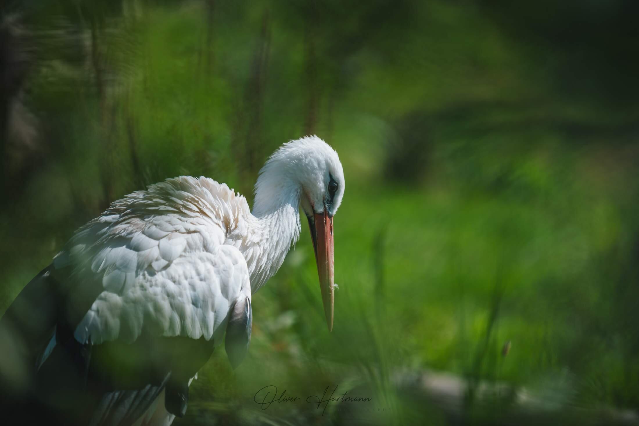 Bild ohne Beschreibung Bild ohne Beschreibung