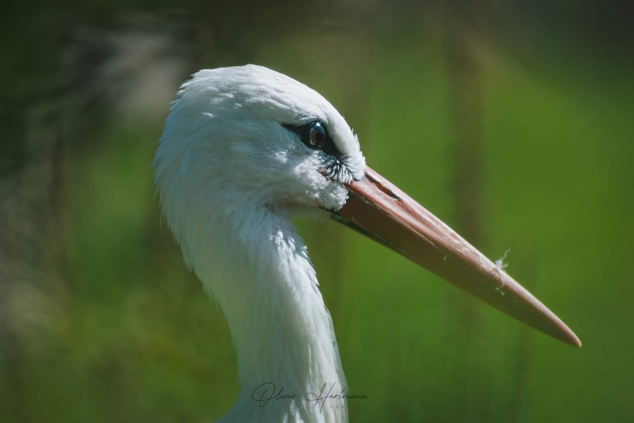 Bild ohne Beschreibung Bild ohne Beschreibung