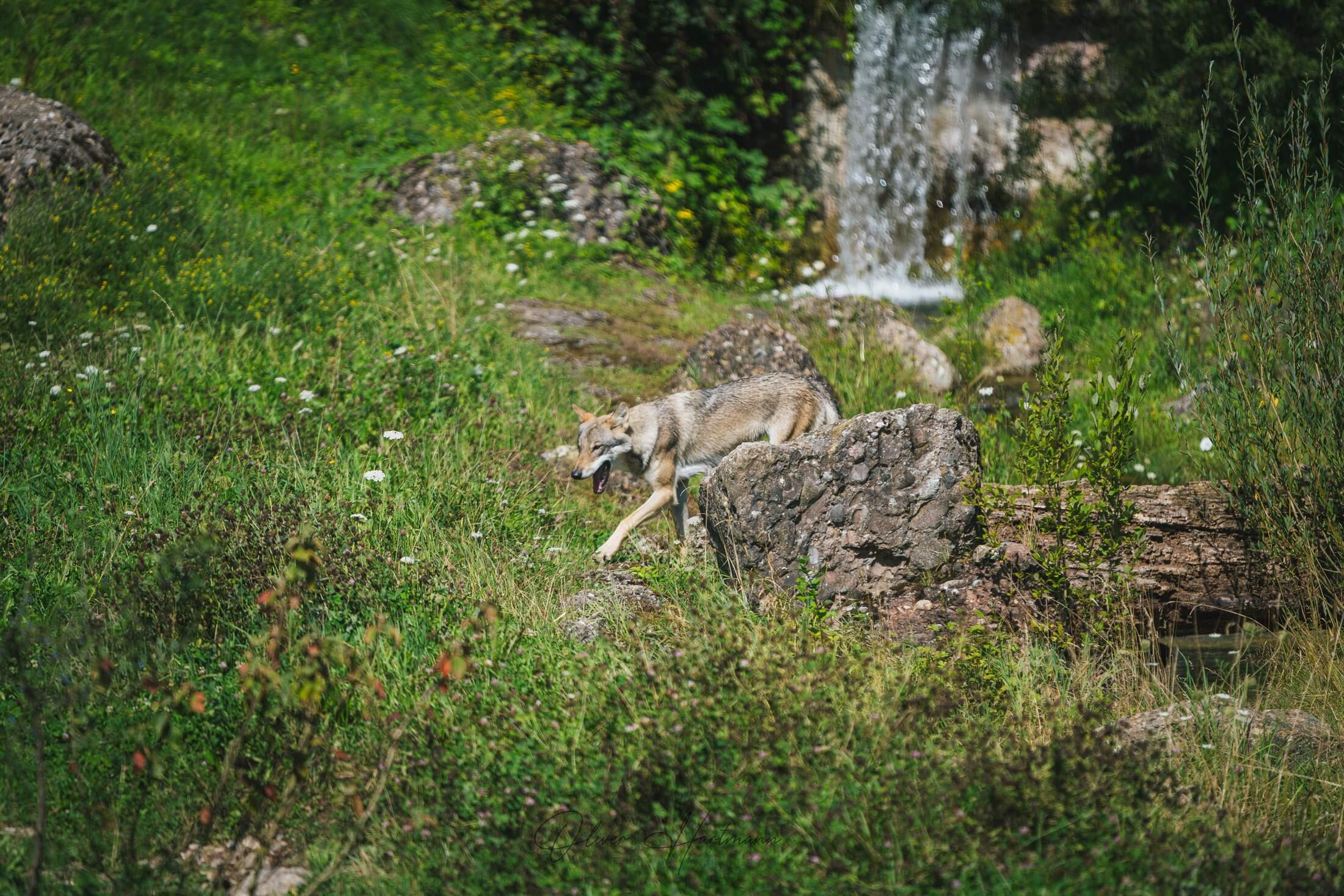 Bild ohne Beschreibung Bild ohne Beschreibung