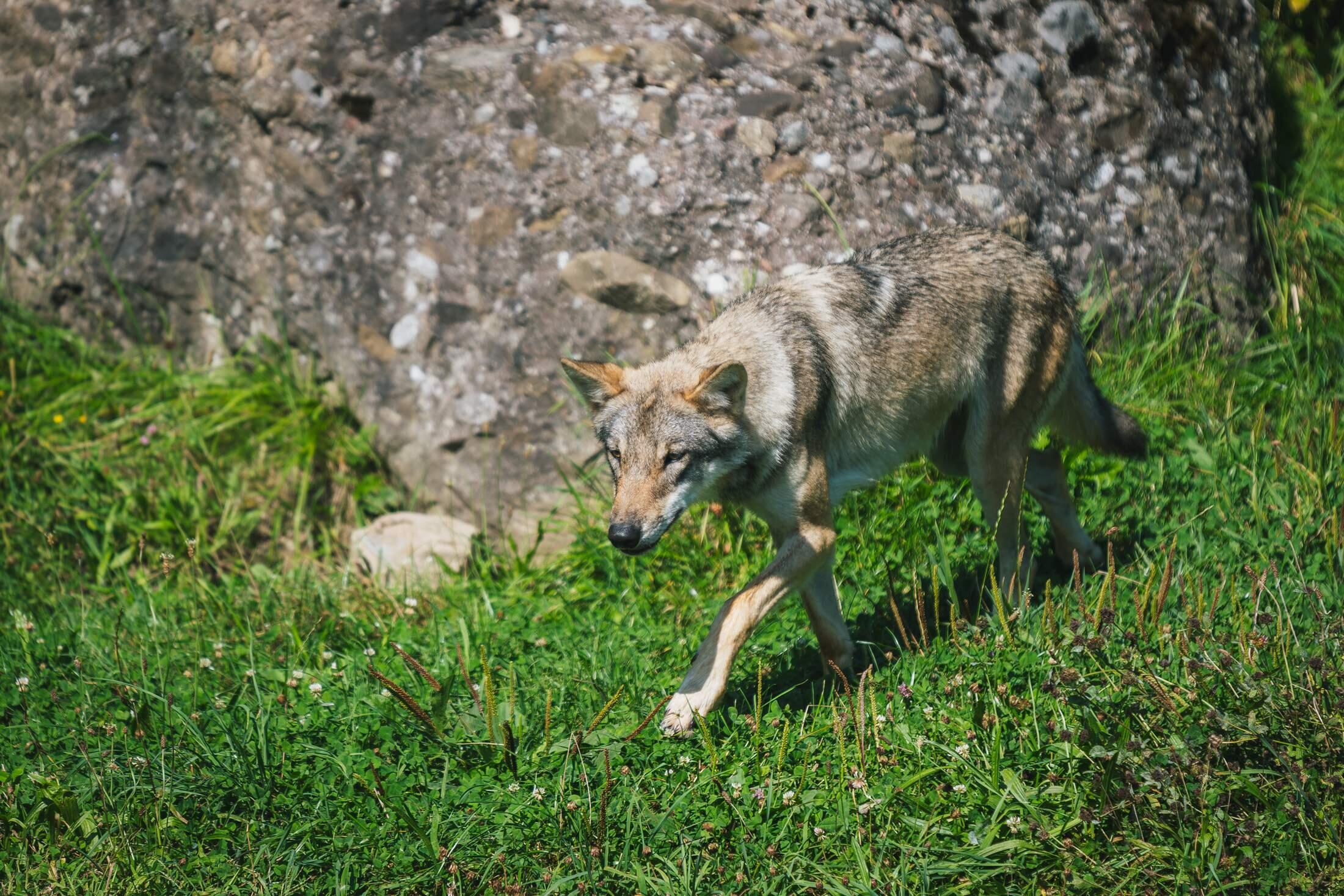 Bild ohne Beschreibung Bild ohne Beschreibung