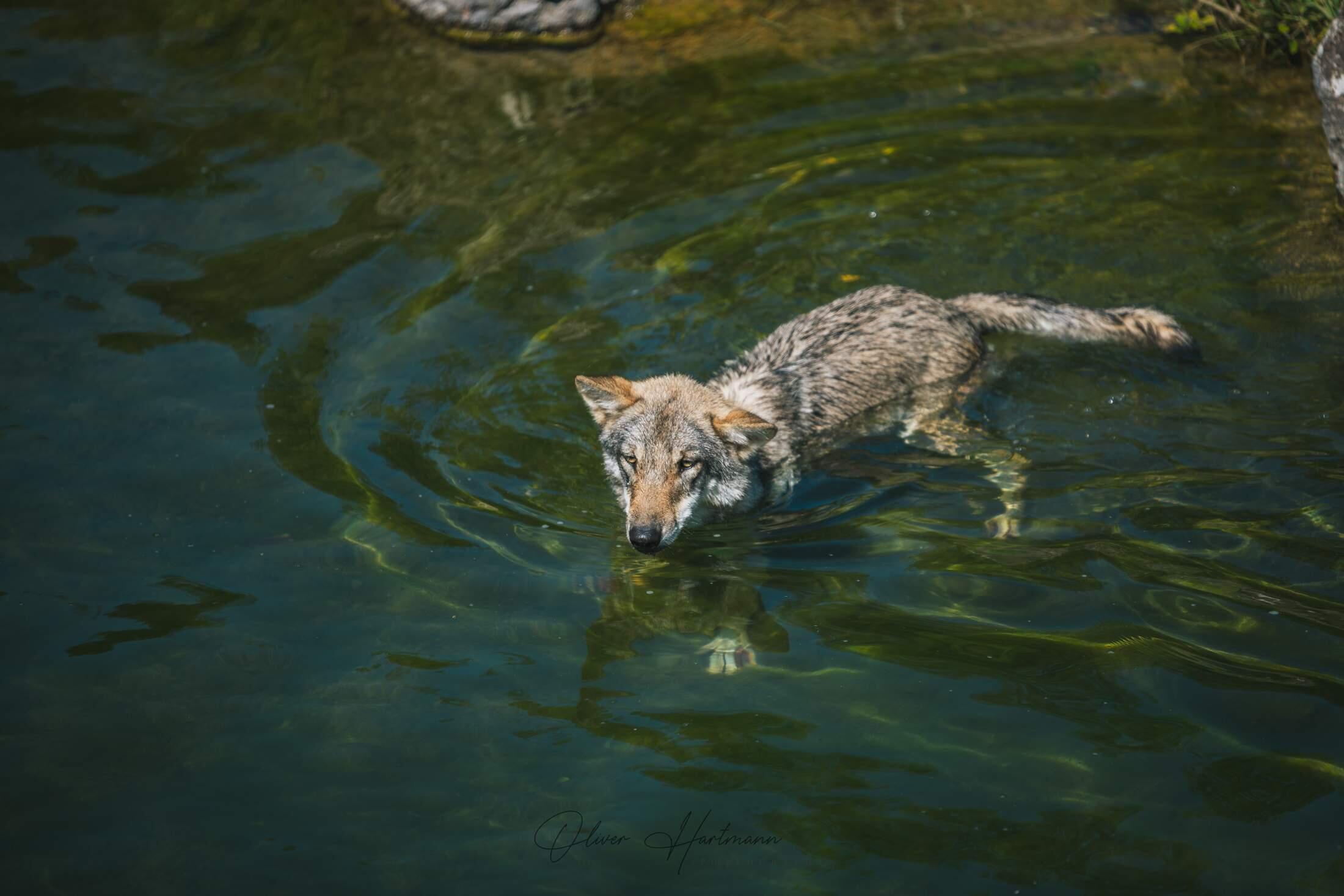 Bild ohne Beschreibung Bild ohne Beschreibung