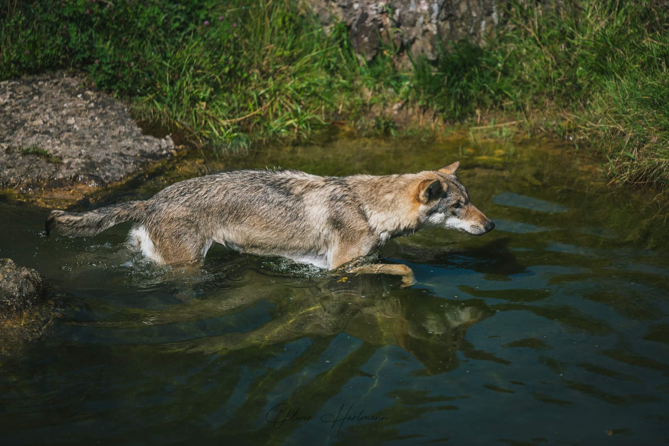Bild ohne Beschreibung Bild ohne Beschreibung