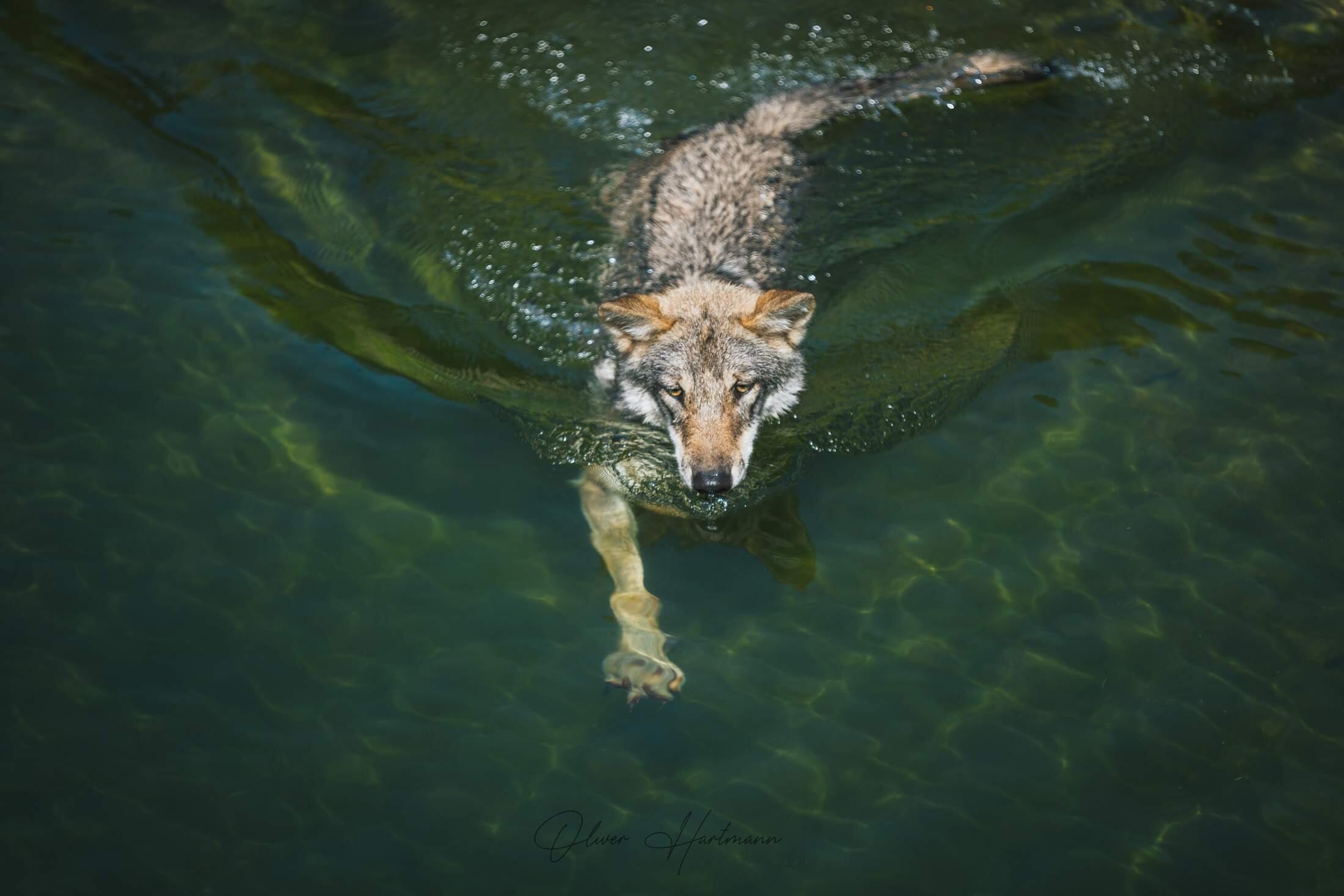 Bild ohne Beschreibung Bild ohne Beschreibung