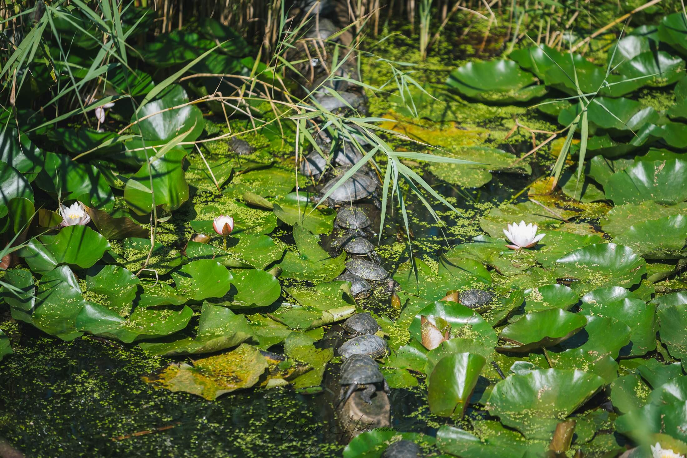 Bild ohne Beschreibung Bild ohne Beschreibung