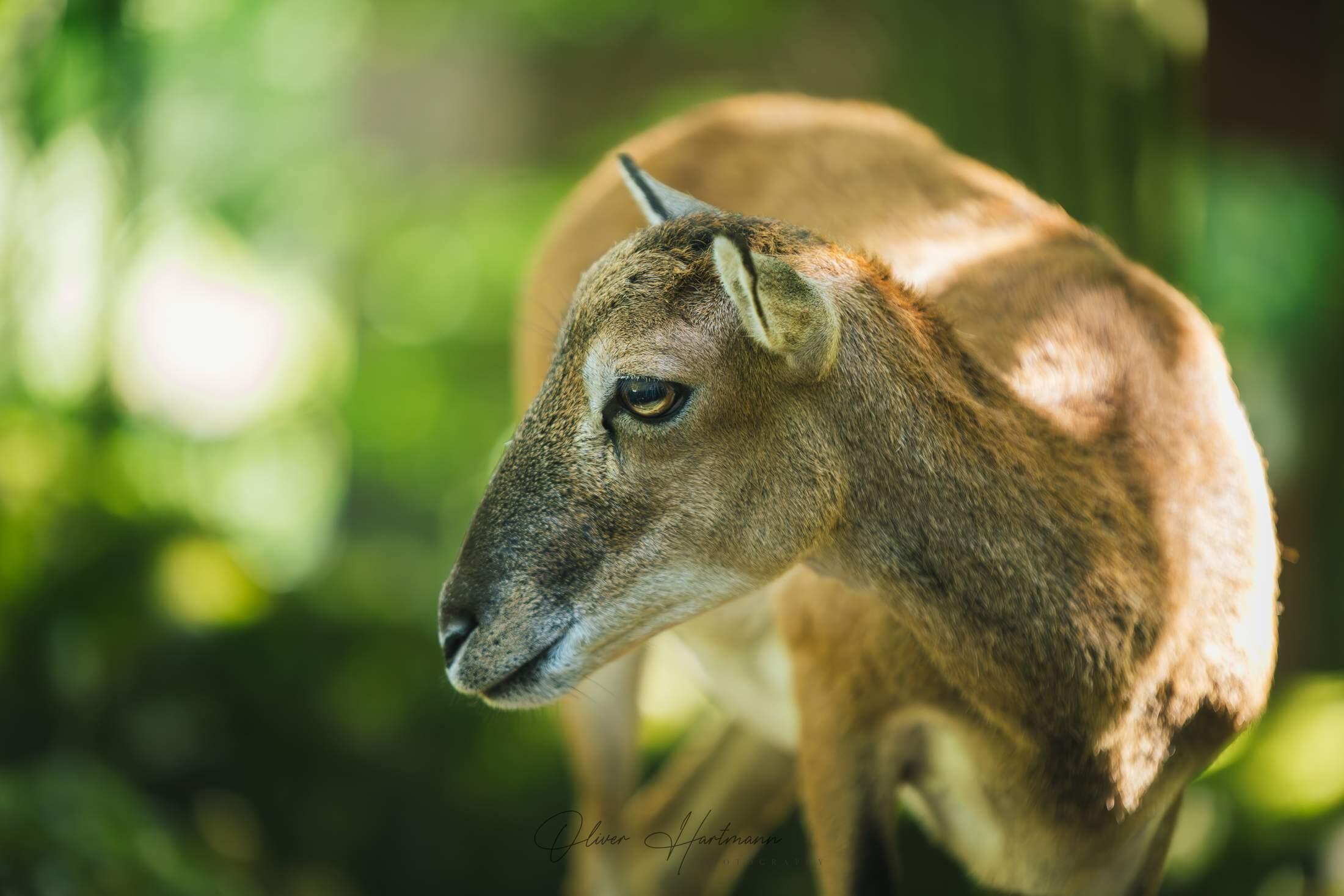 Bild ohne Beschreibung Bild ohne Beschreibung