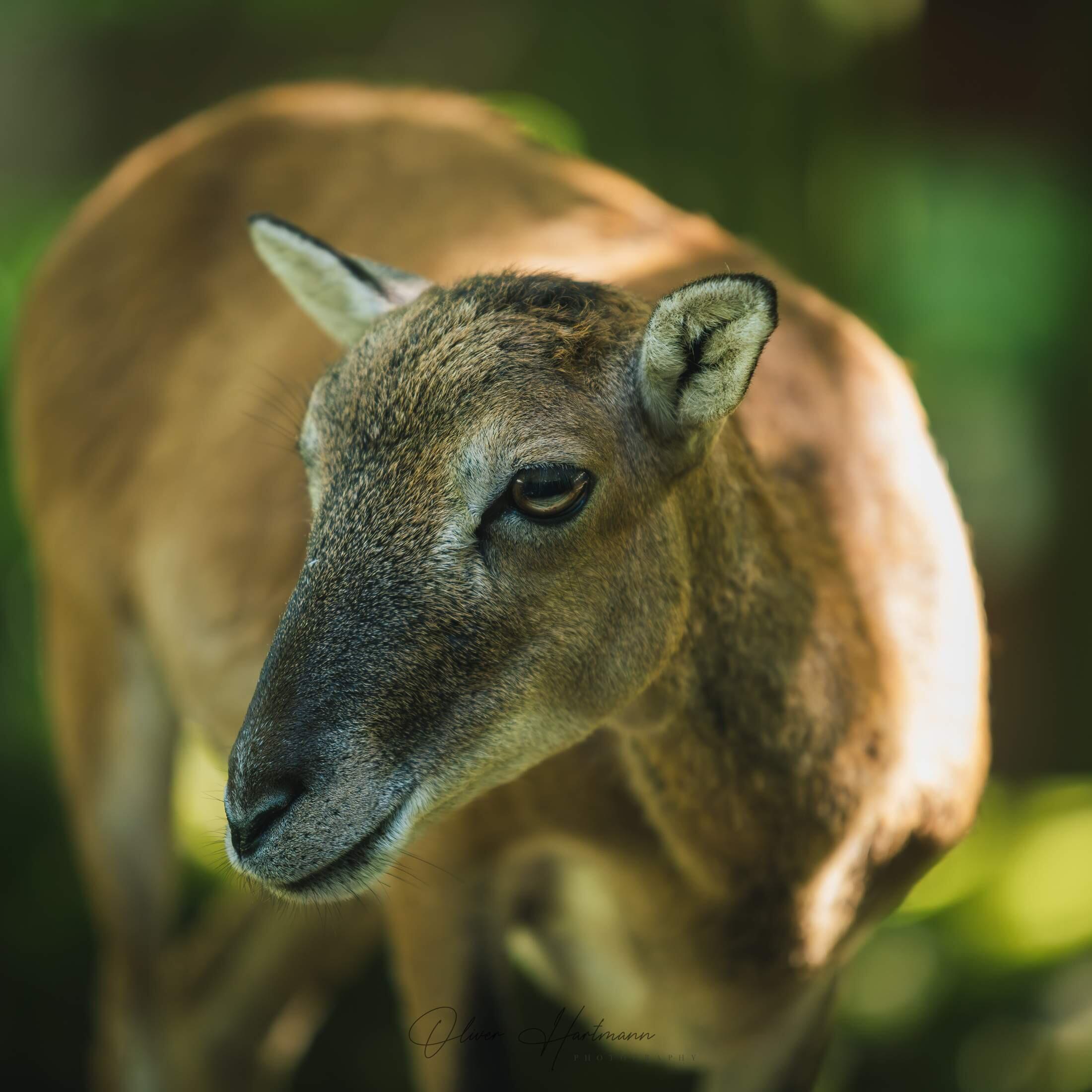 Bild ohne Beschreibung Bild ohne Beschreibung