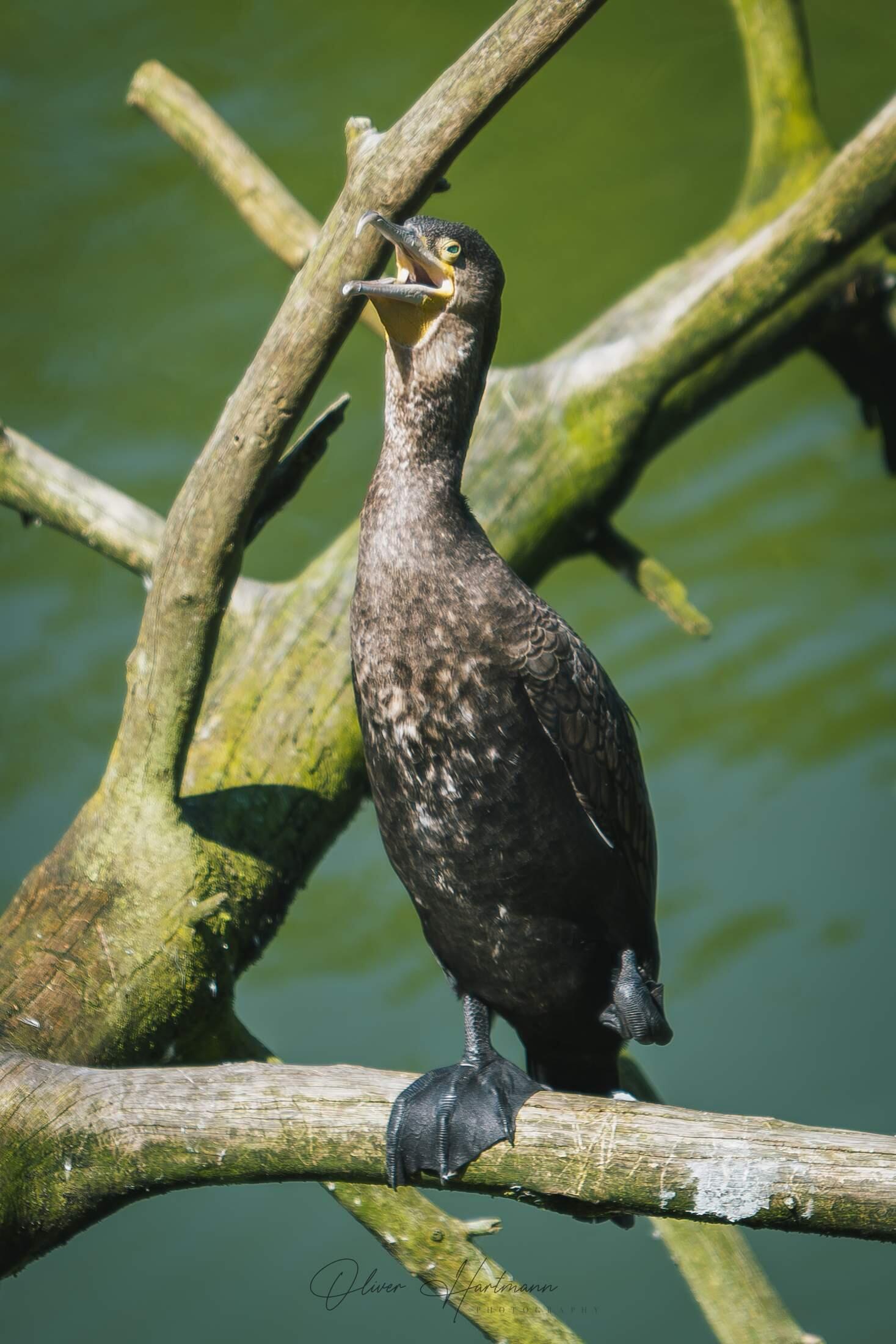 Bild ohne Beschreibung Bild ohne Beschreibung