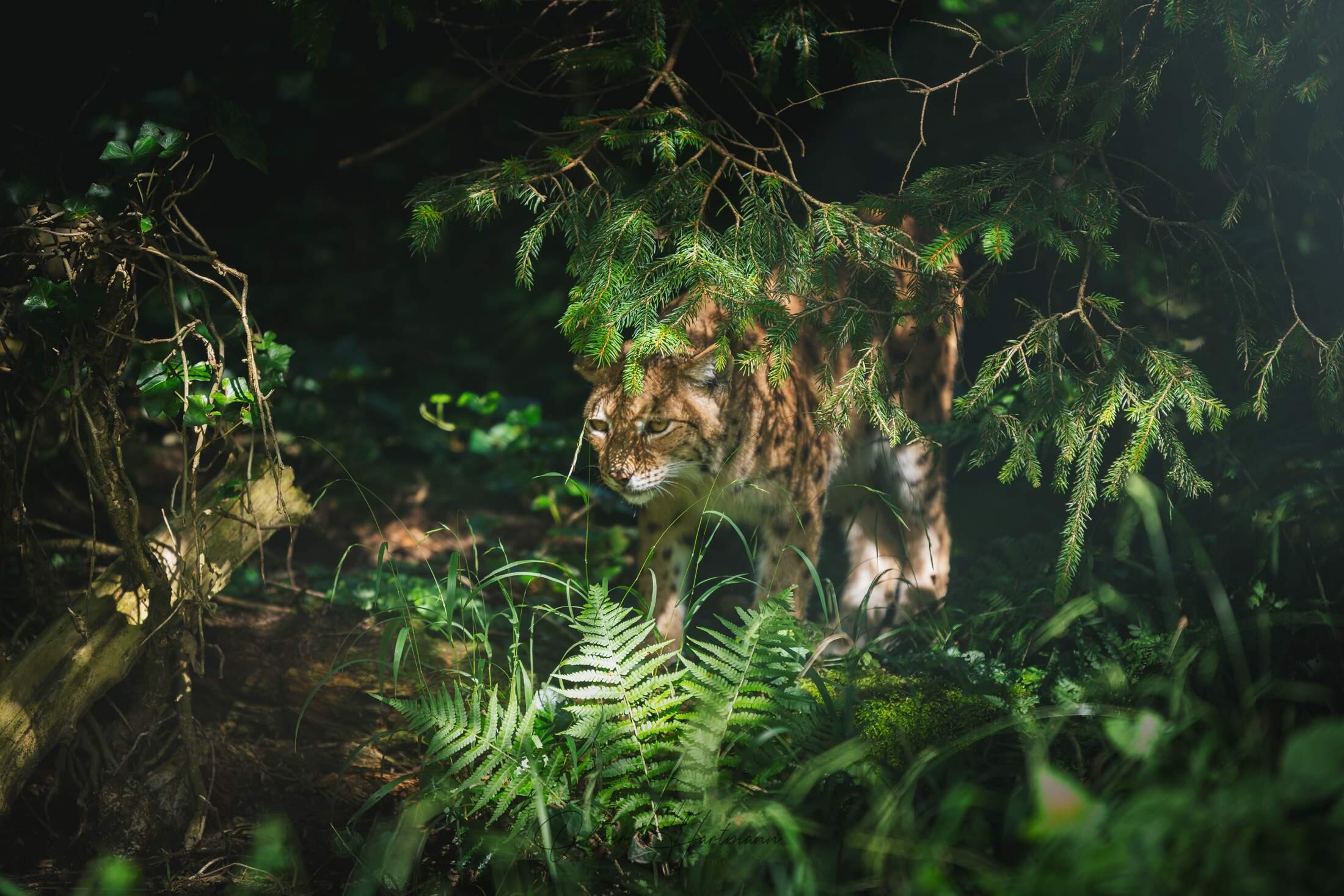 Bild ohne Beschreibung Bild ohne Beschreibung