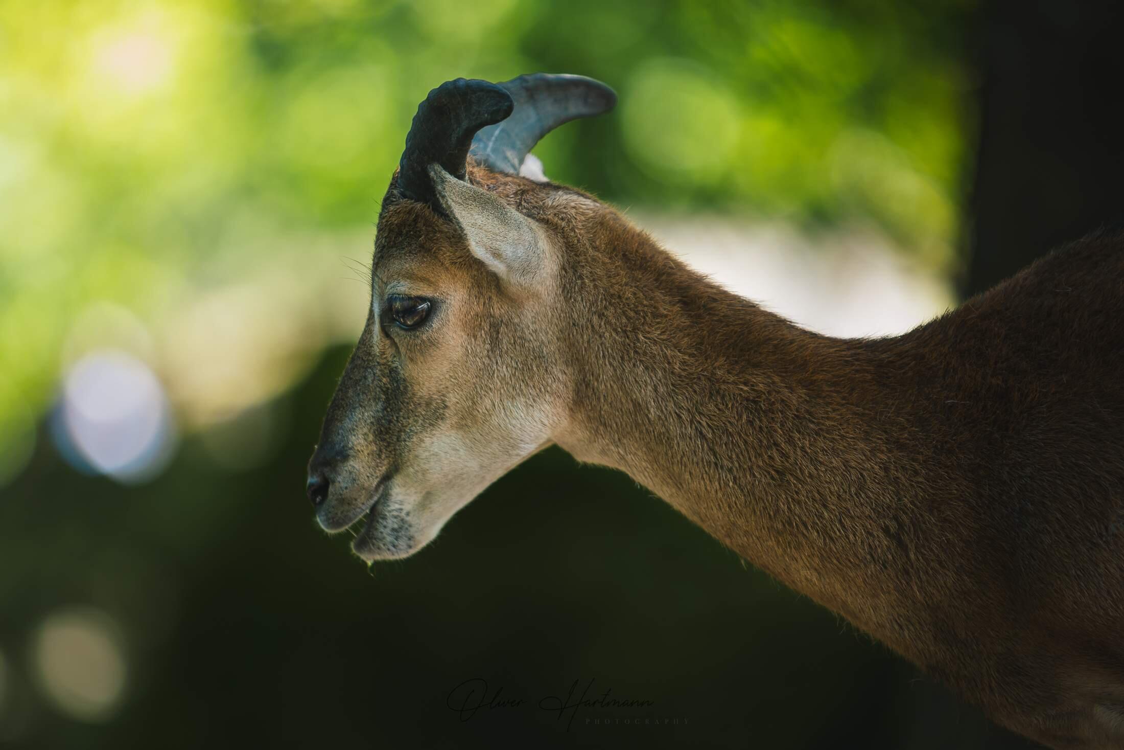 Bild ohne Beschreibung Bild ohne Beschreibung