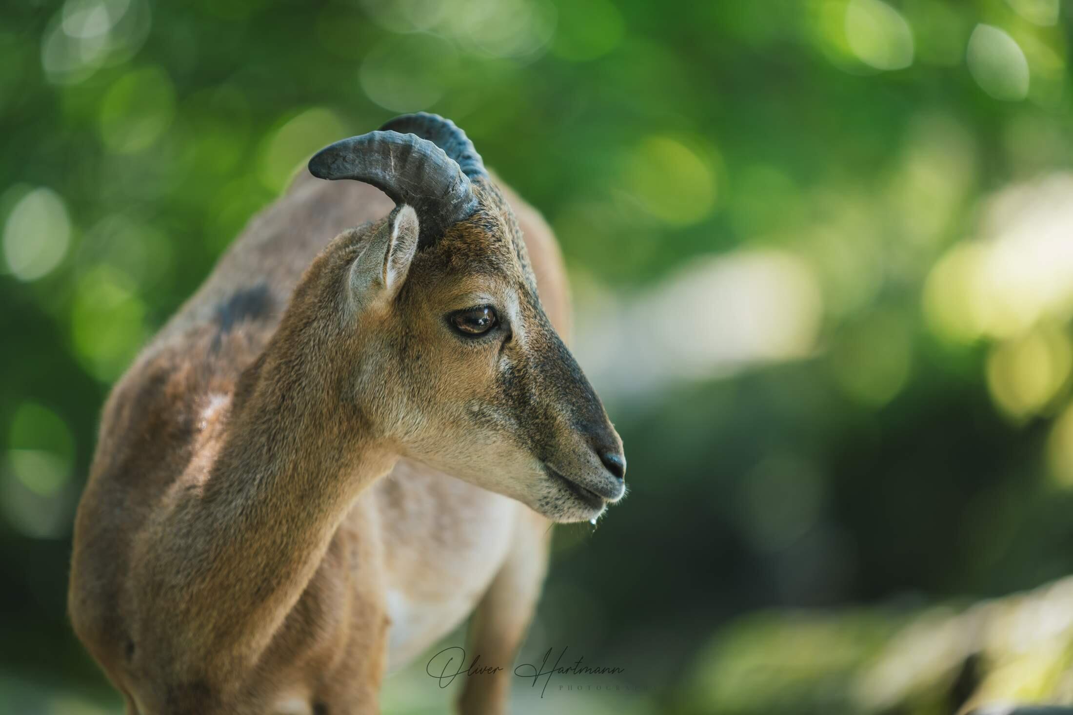 Bild ohne Beschreibung Bild ohne Beschreibung