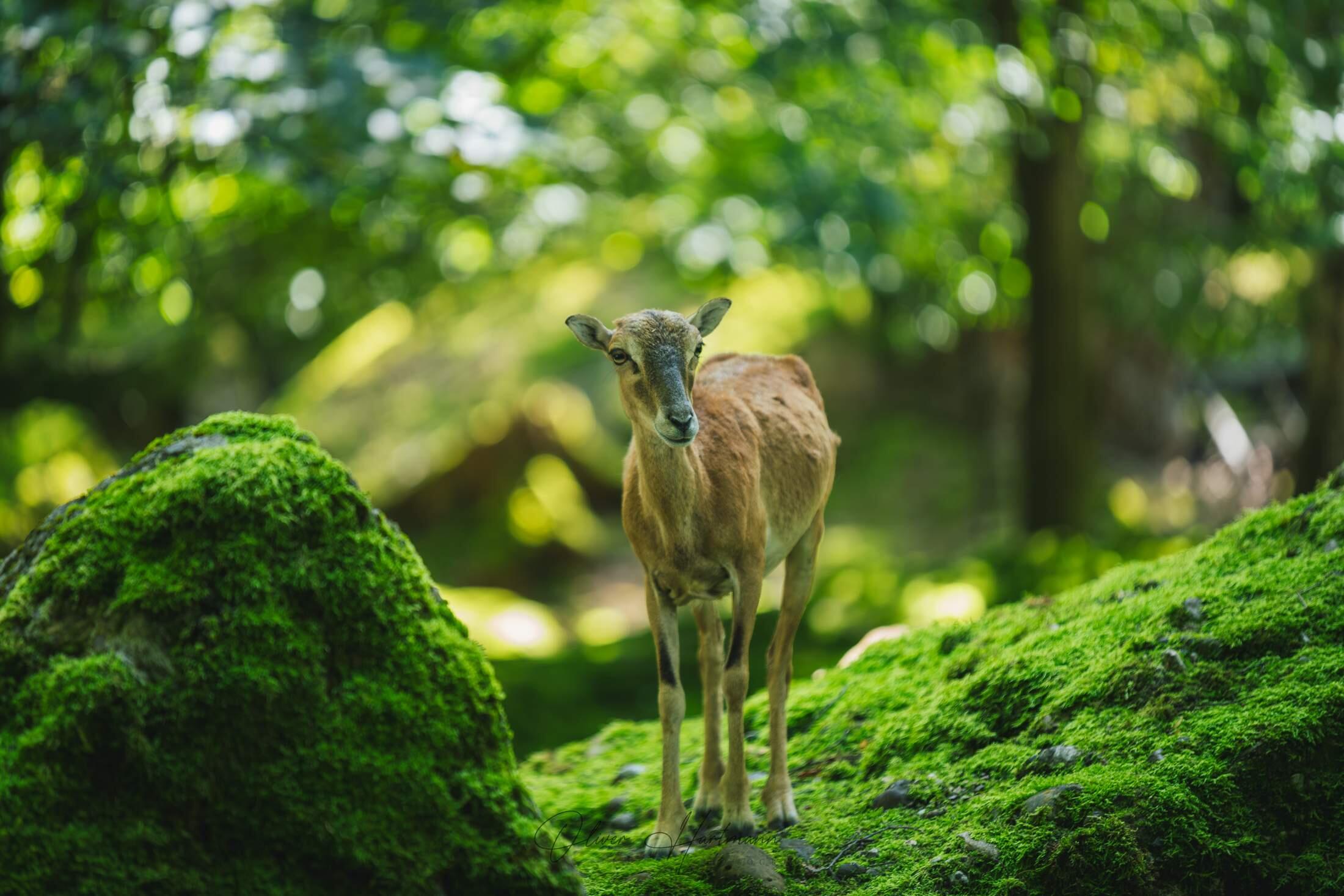 Bild ohne Beschreibung Bild ohne Beschreibung