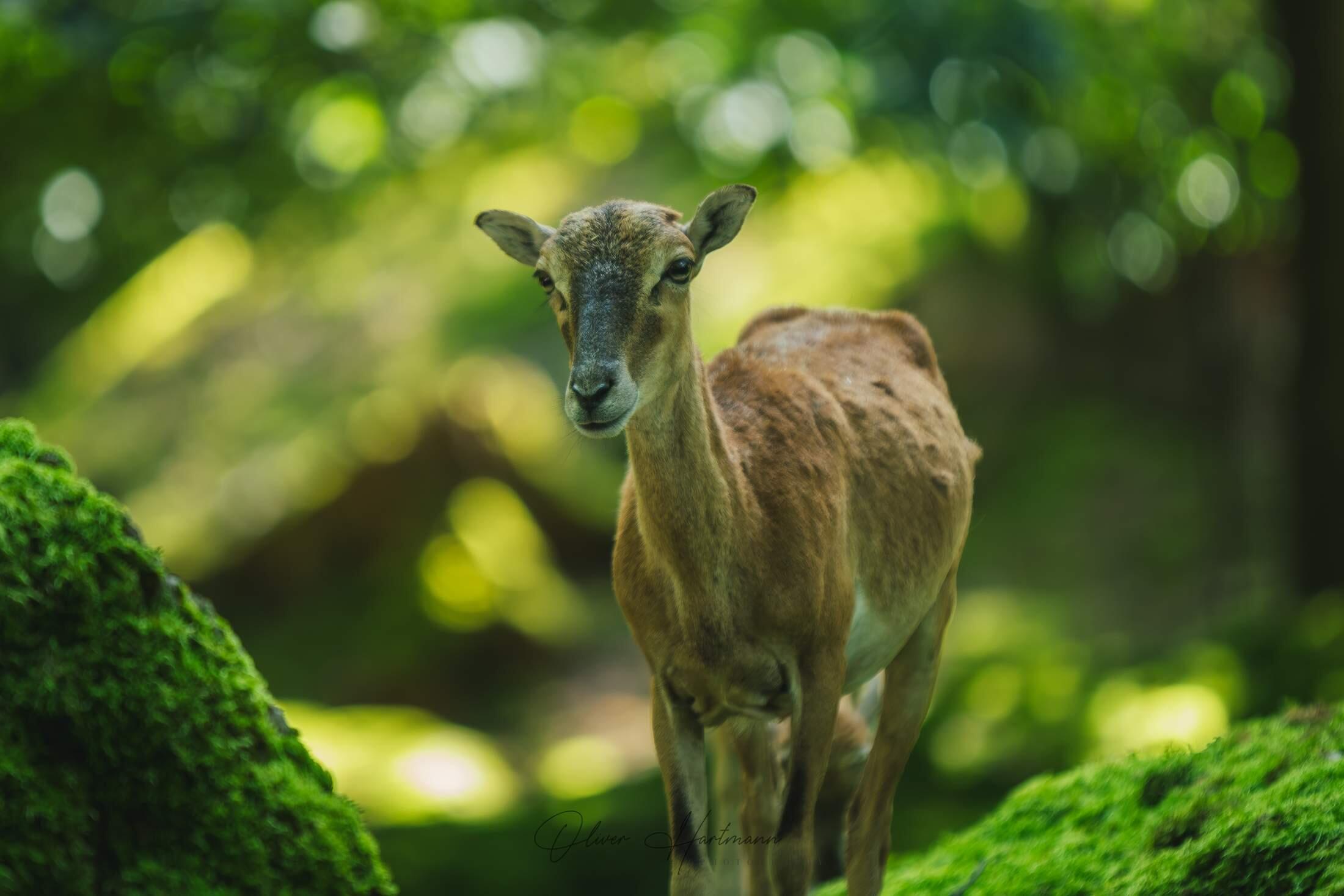 Bild ohne Beschreibung Bild ohne Beschreibung