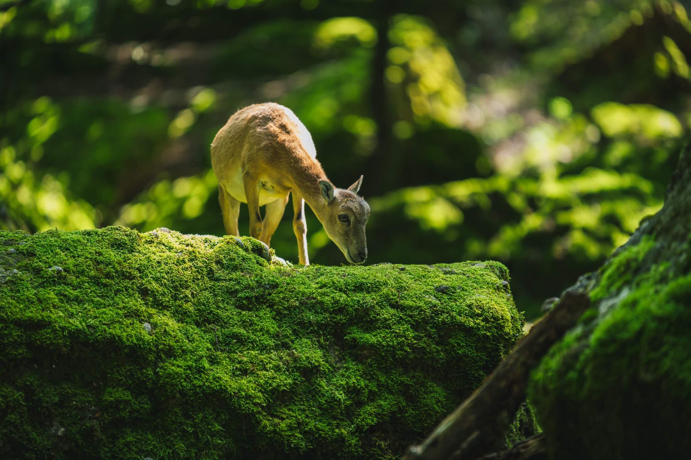 Bild ohne Beschreibung Bild ohne Beschreibung