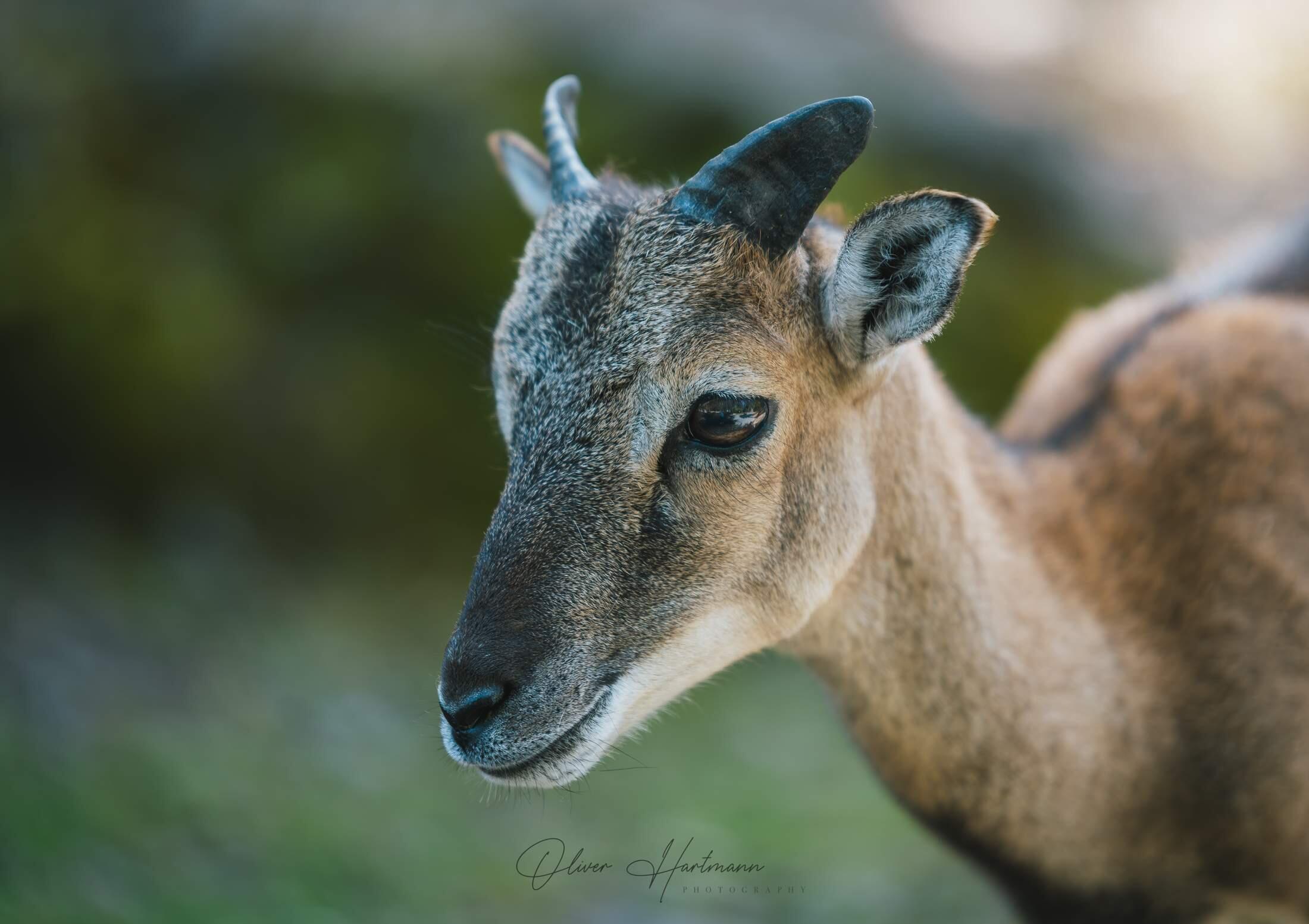 Bild ohne Beschreibung Bild ohne Beschreibung