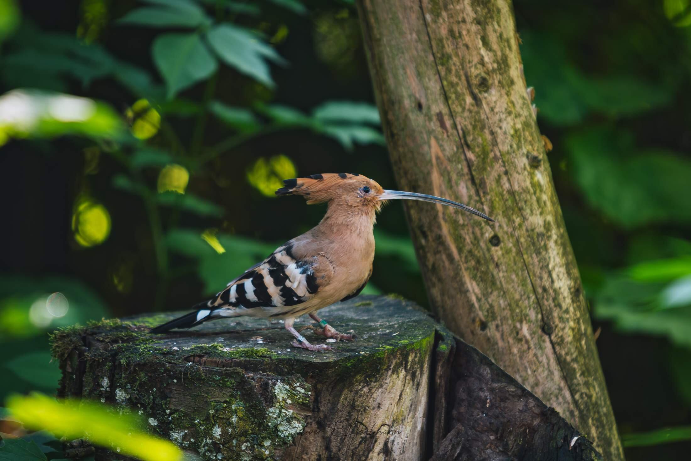 Bild ohne Beschreibung Bild ohne Beschreibung