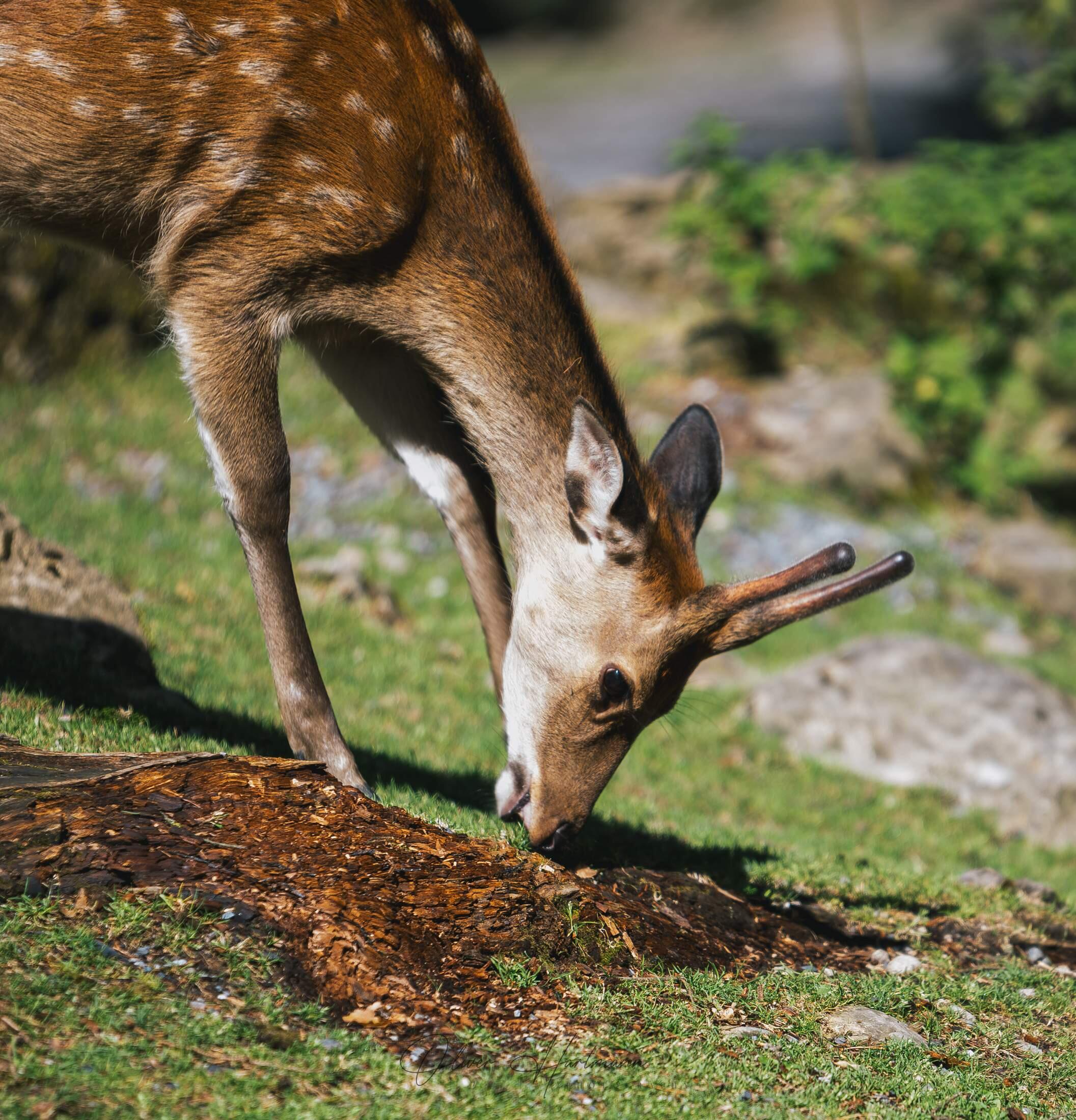 Bild ohne Beschreibung Bild ohne Beschreibung