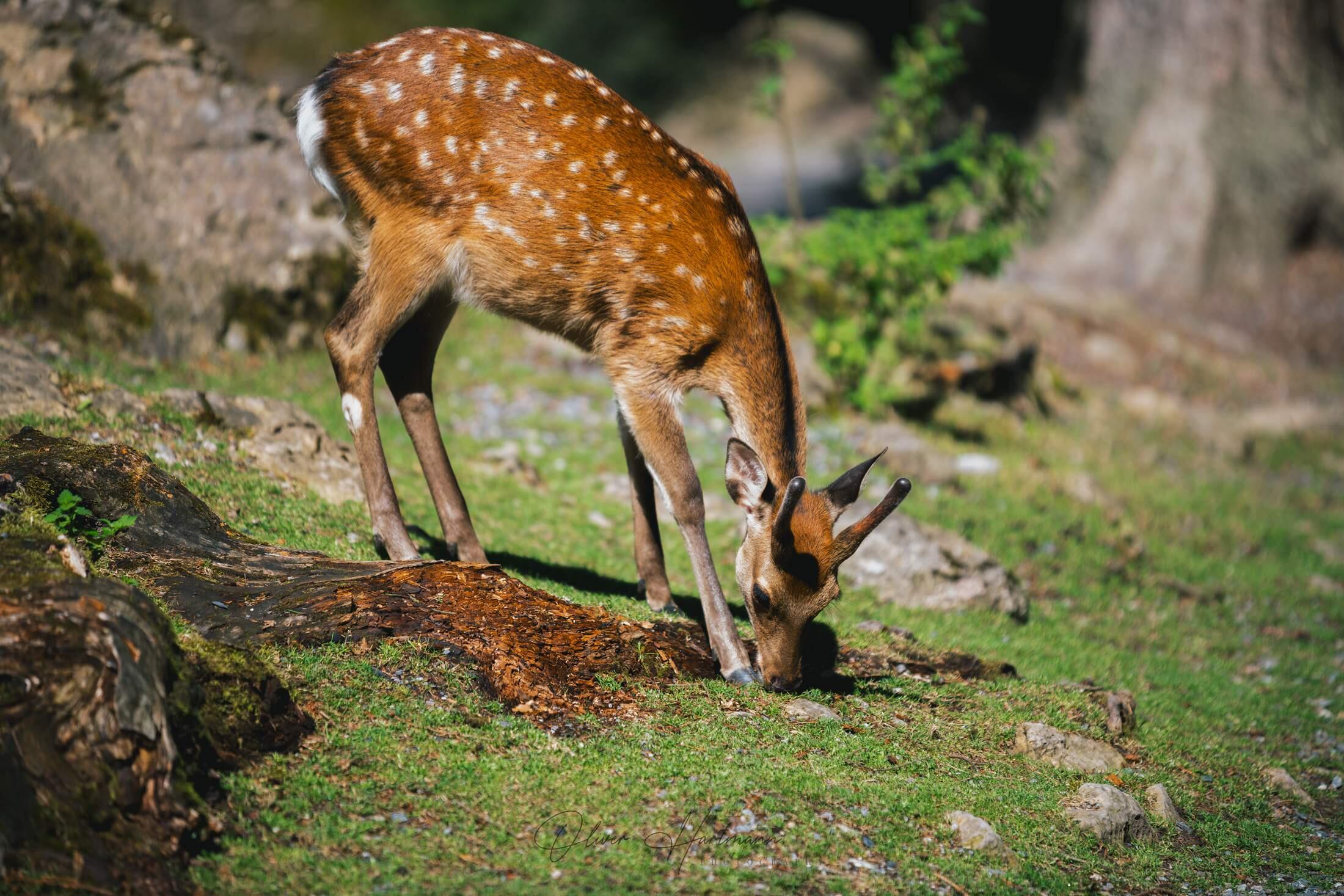 Bild ohne Beschreibung Bild ohne Beschreibung