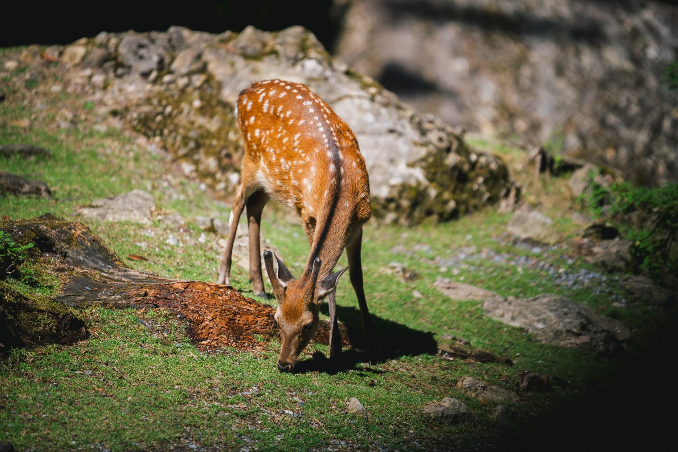 Bild ohne Beschreibung Bild ohne Beschreibung