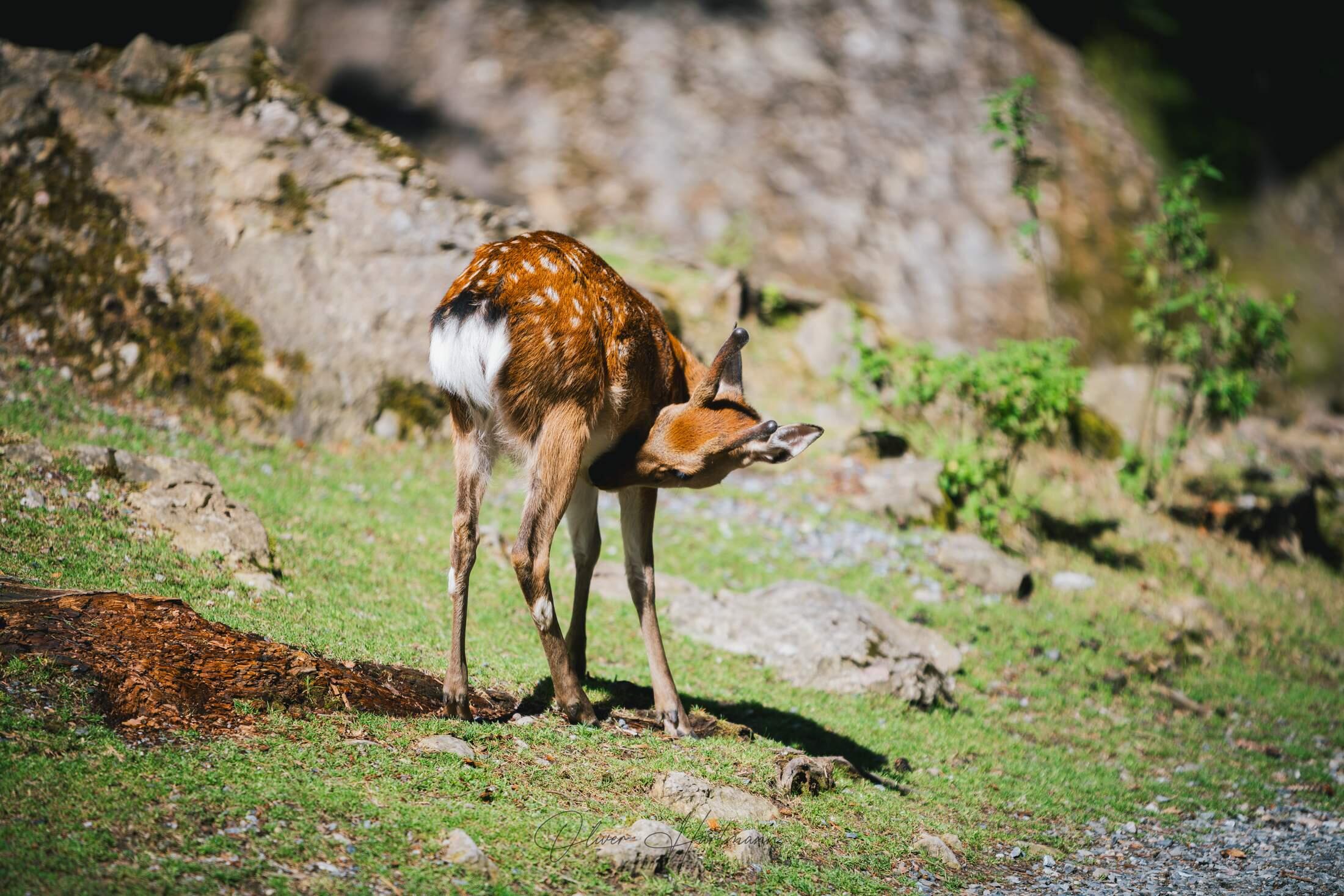 Bild ohne Beschreibung Bild ohne Beschreibung