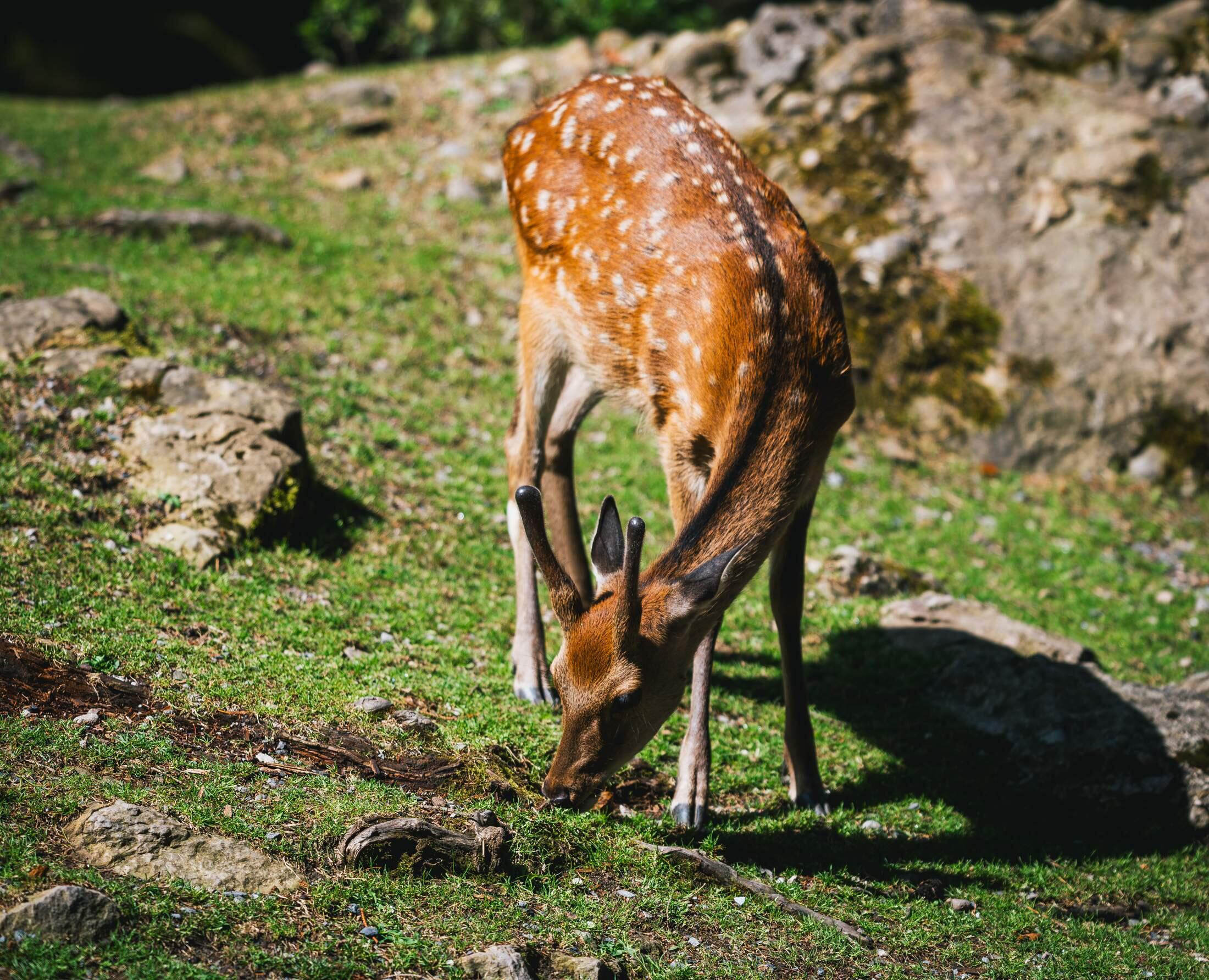 Bild ohne Beschreibung Bild ohne Beschreibung