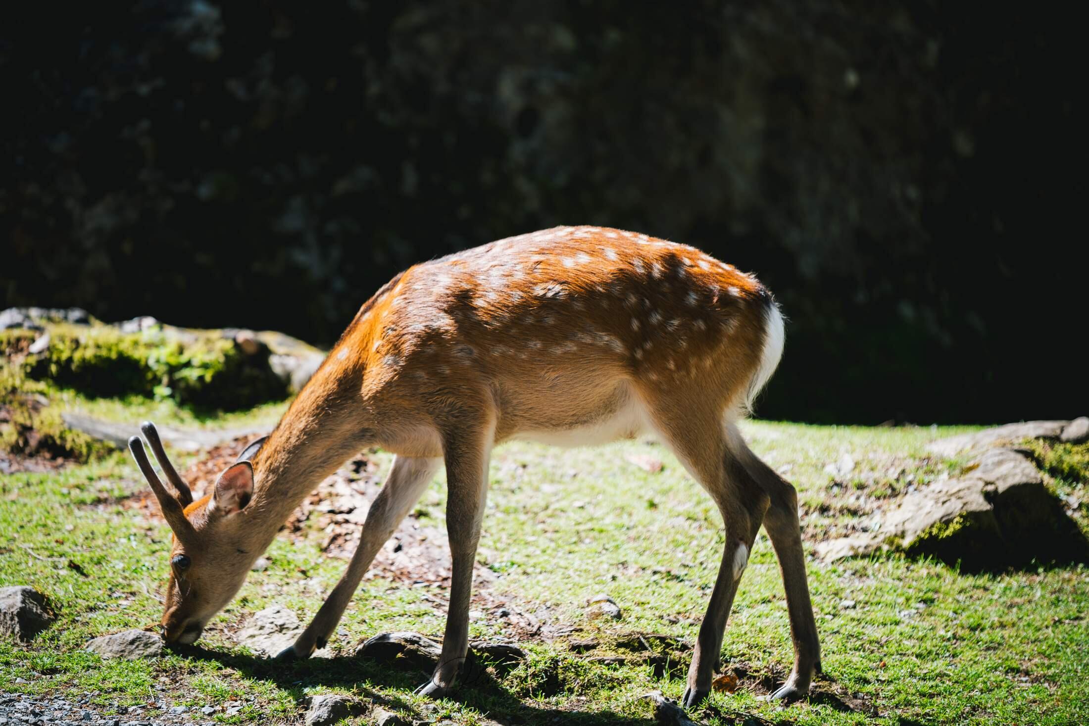 Bild ohne Beschreibung Bild ohne Beschreibung
